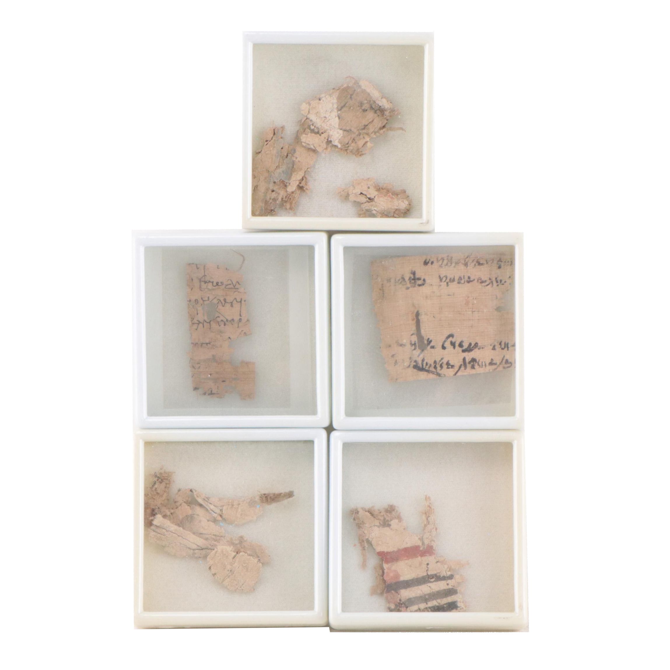 Ancient Egyptian Demotic or Greek Script Papyrus Fragments