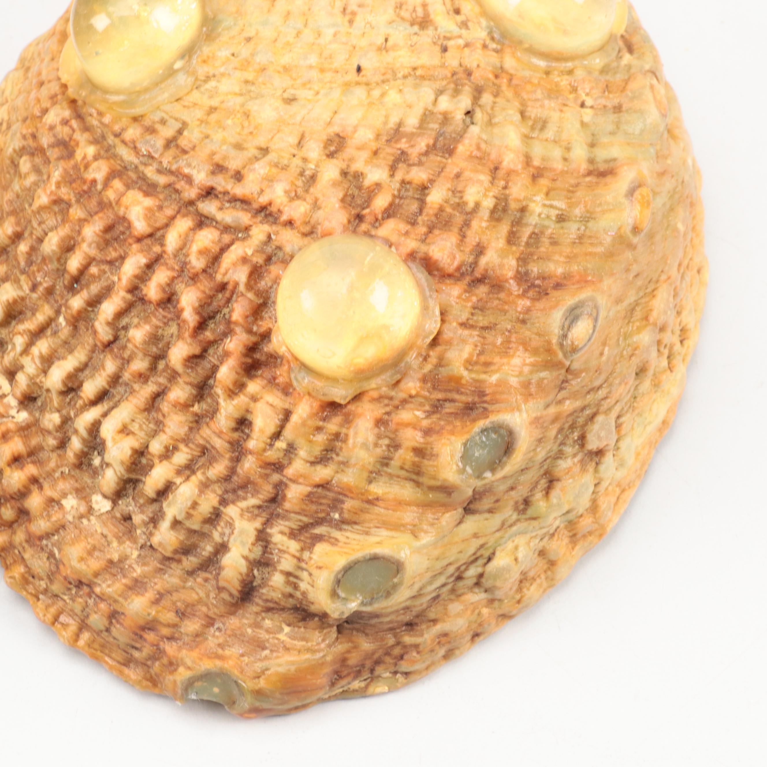 Abalone Shell Specimens and Footed Bowls