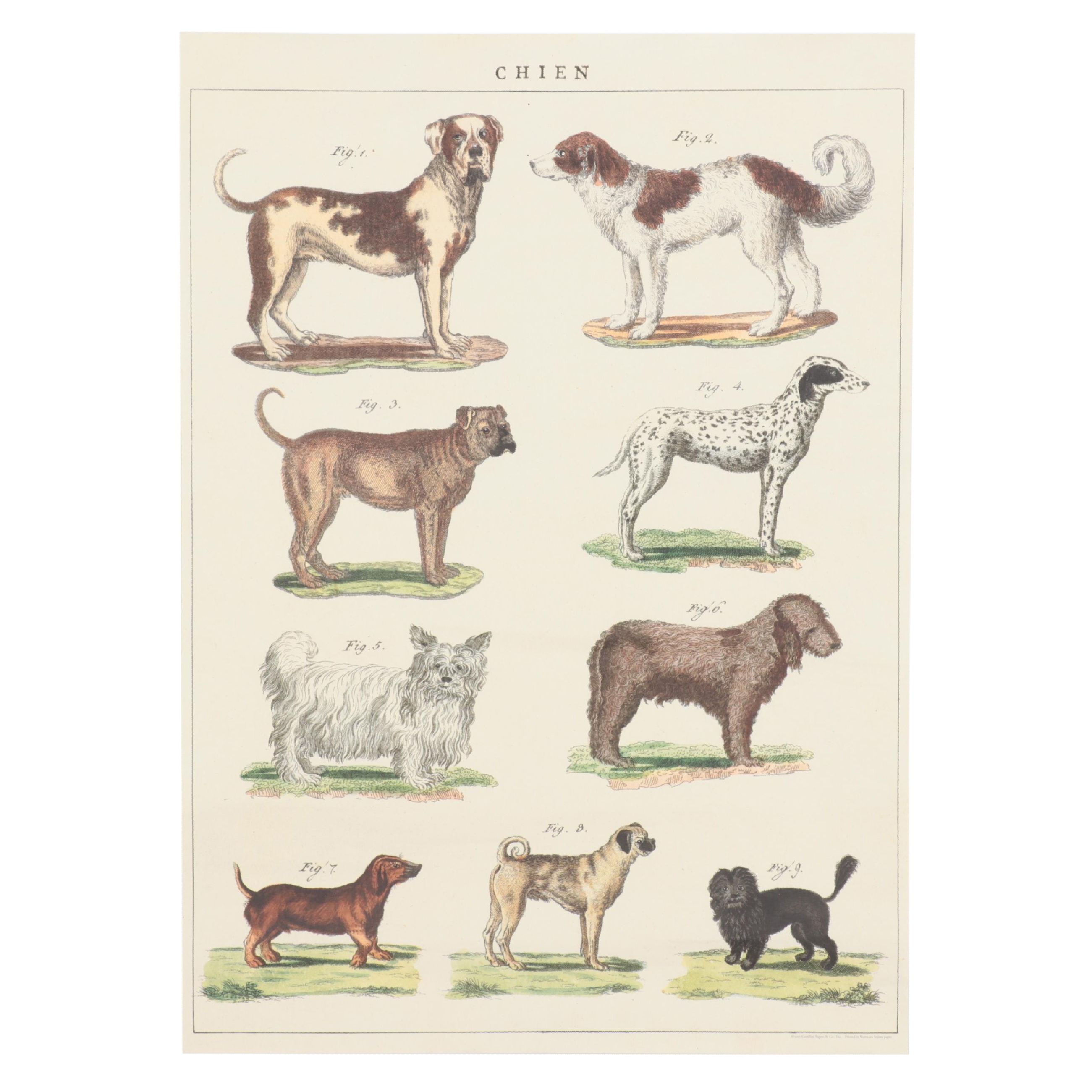 Offset Lithograph Dog Poster "Chien"