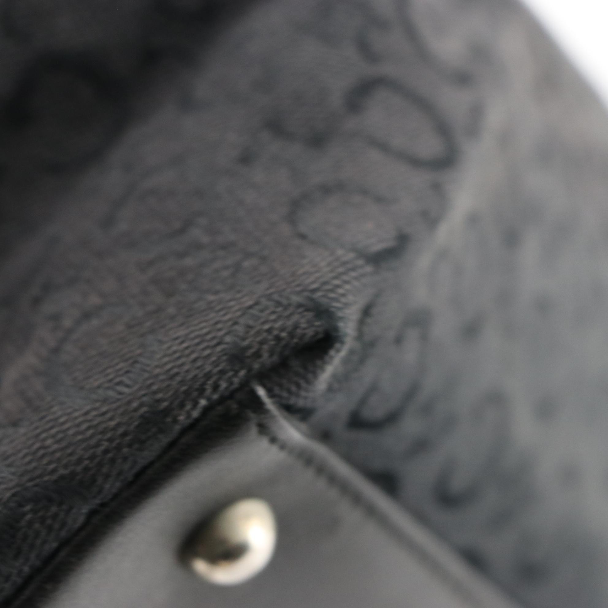 Celine Tote Bag in C Triomphe Canvas with Leather Trim