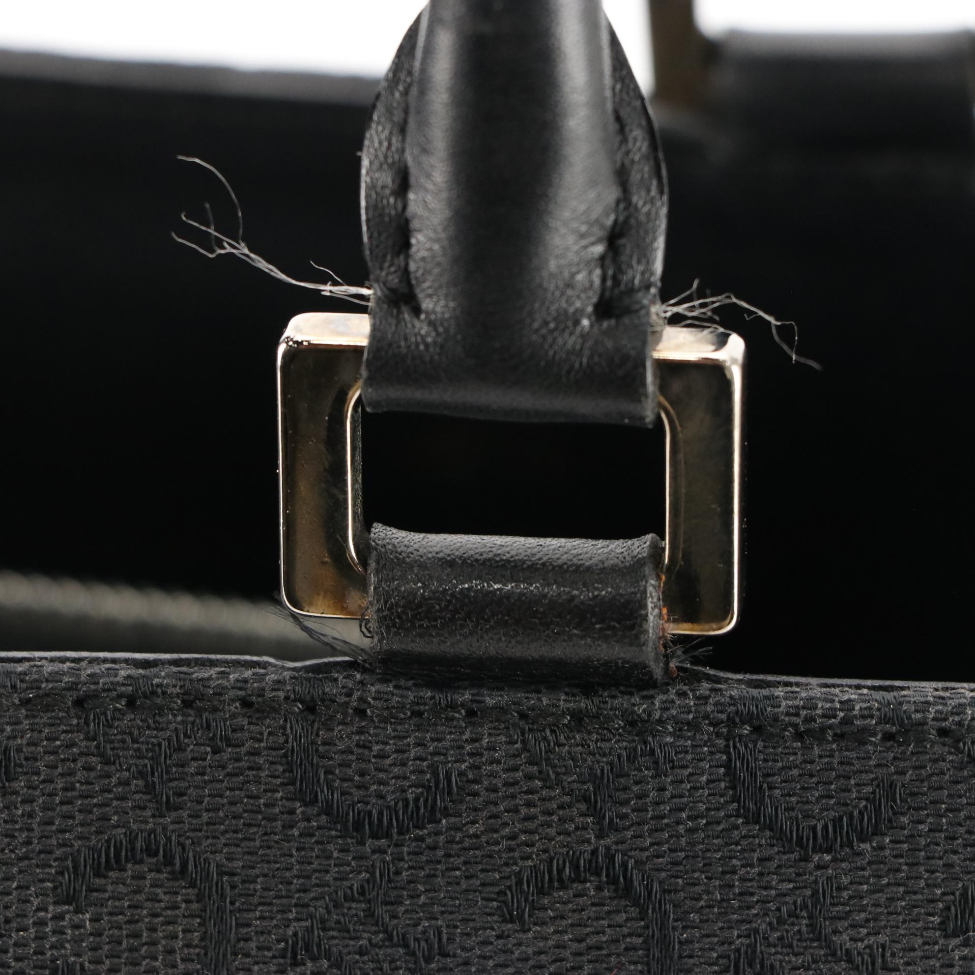 Celine Tote Bag in C Triomphe Canvas with Leather Trim