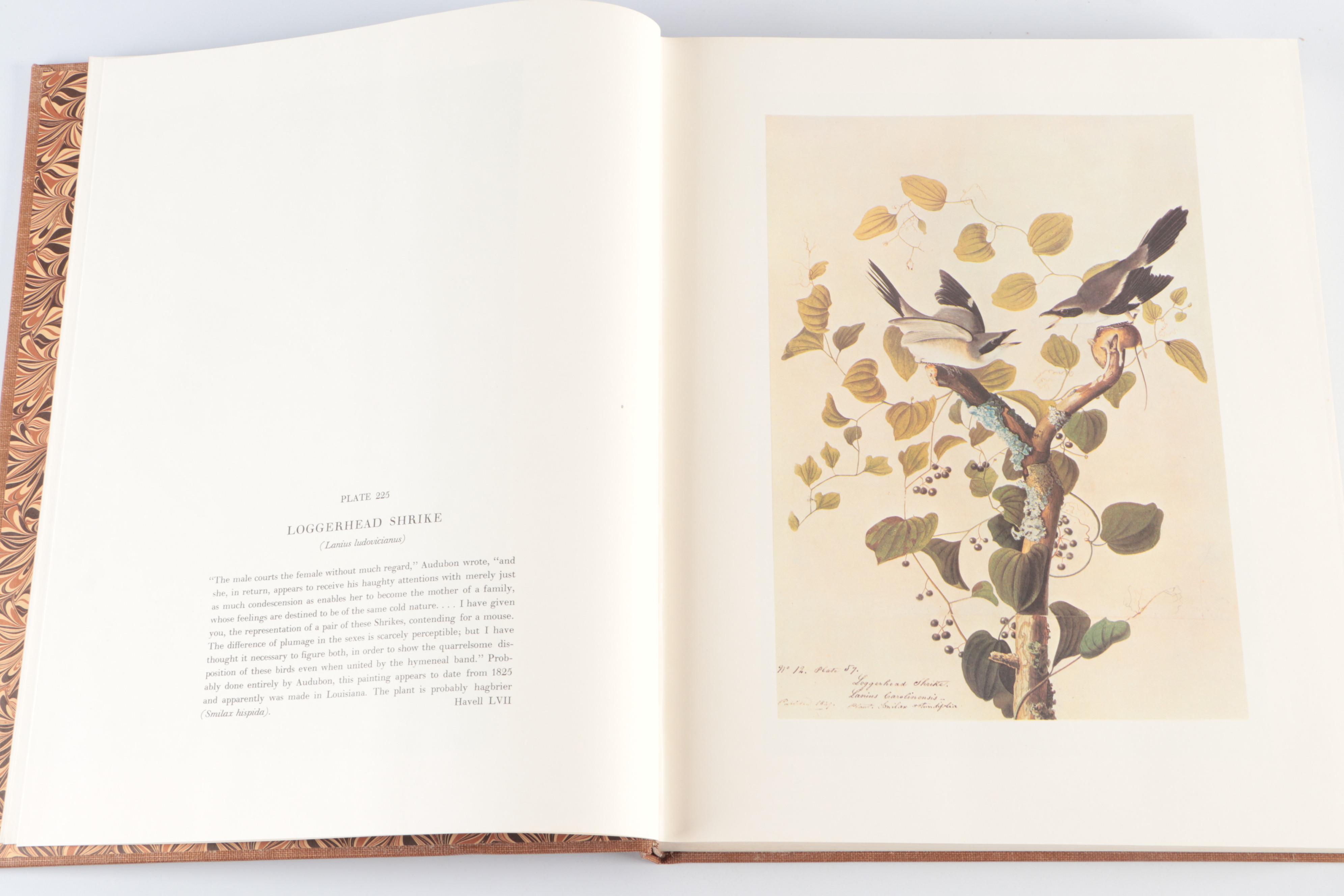 "The Original Water-Color Paintings for The Birds of America" by Audubon, 1966