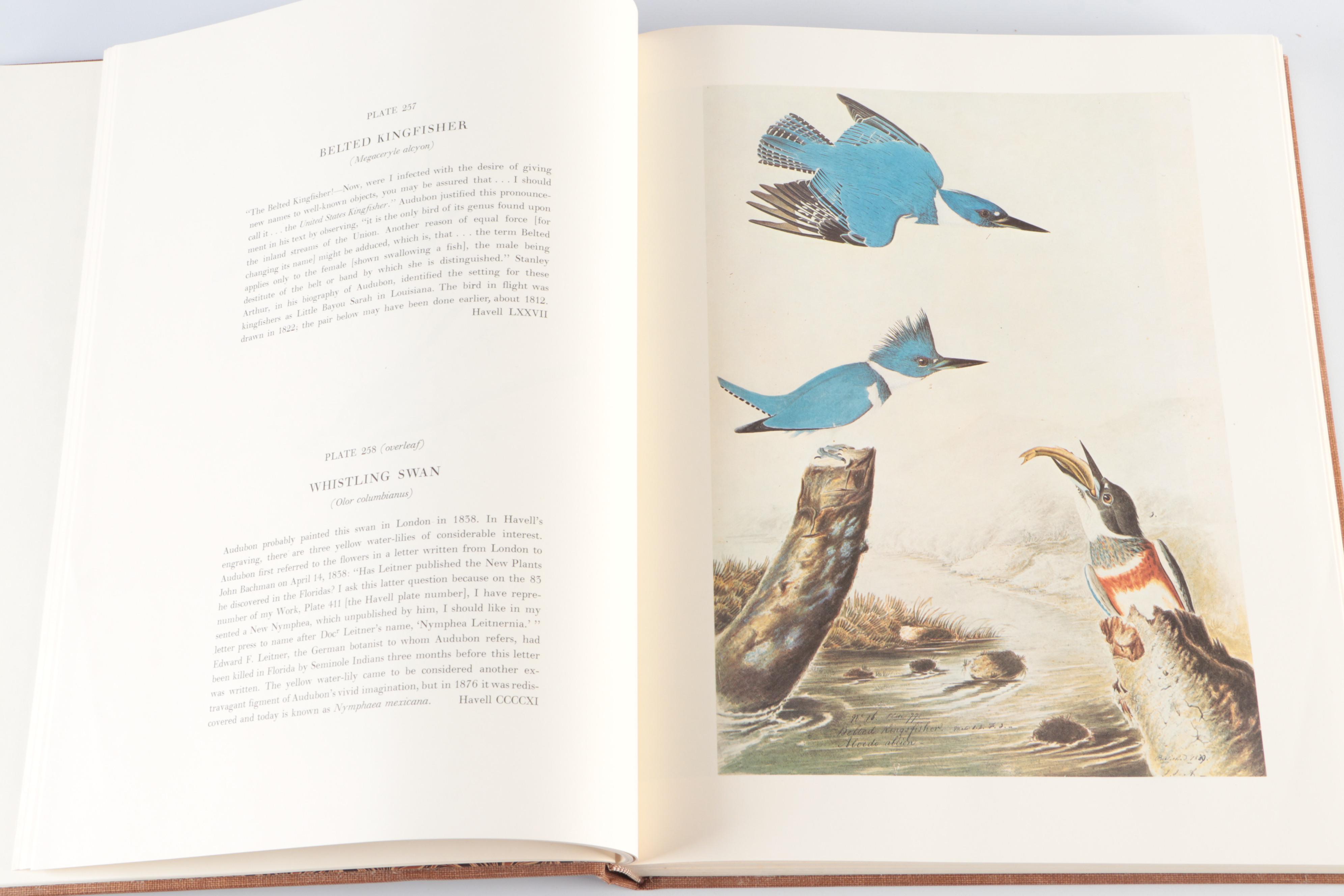 "The Original Water-Color Paintings for The Birds of America" by Audubon, 1966