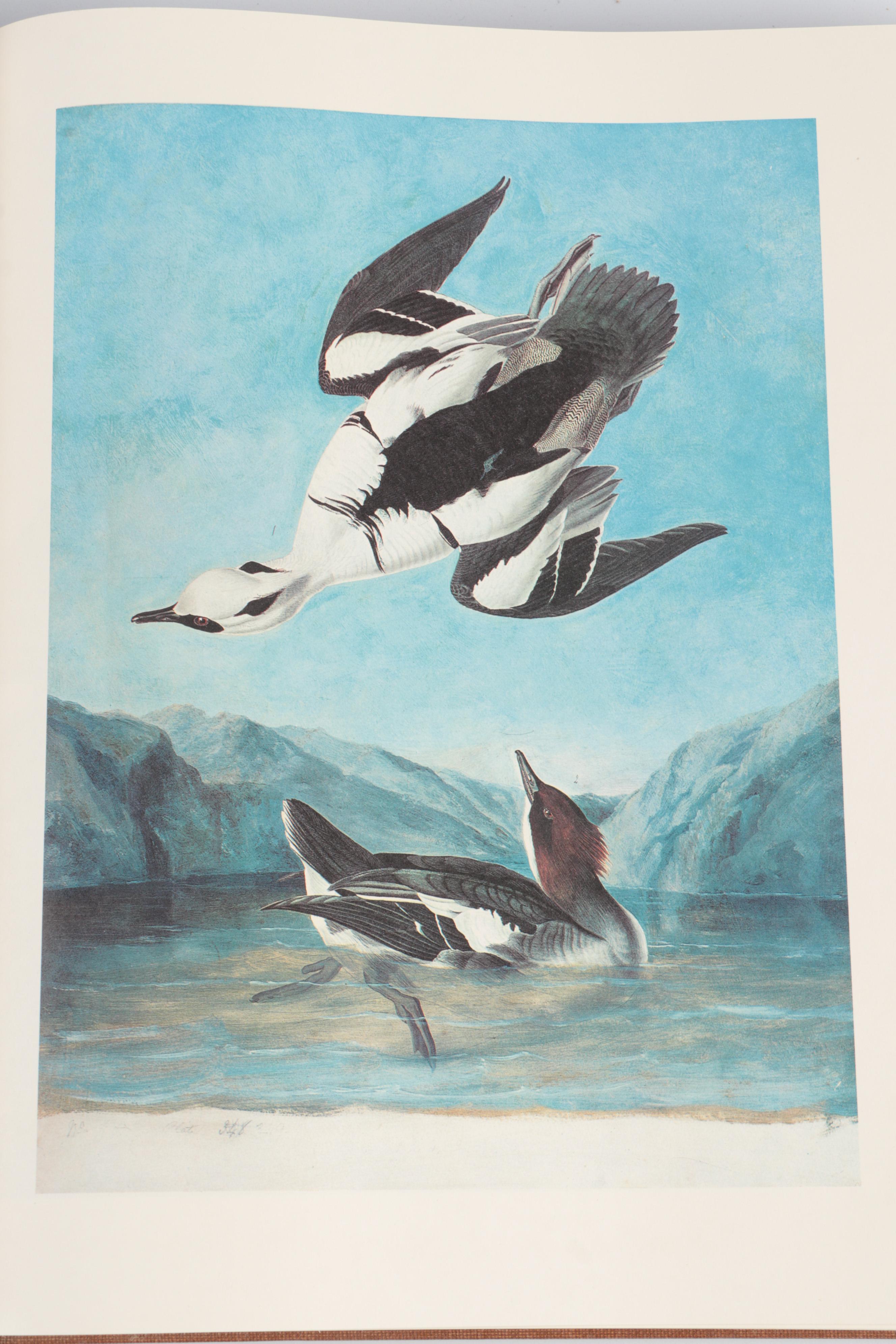 "The Original Water-Color Paintings for The Birds of America" by Audubon, 1966