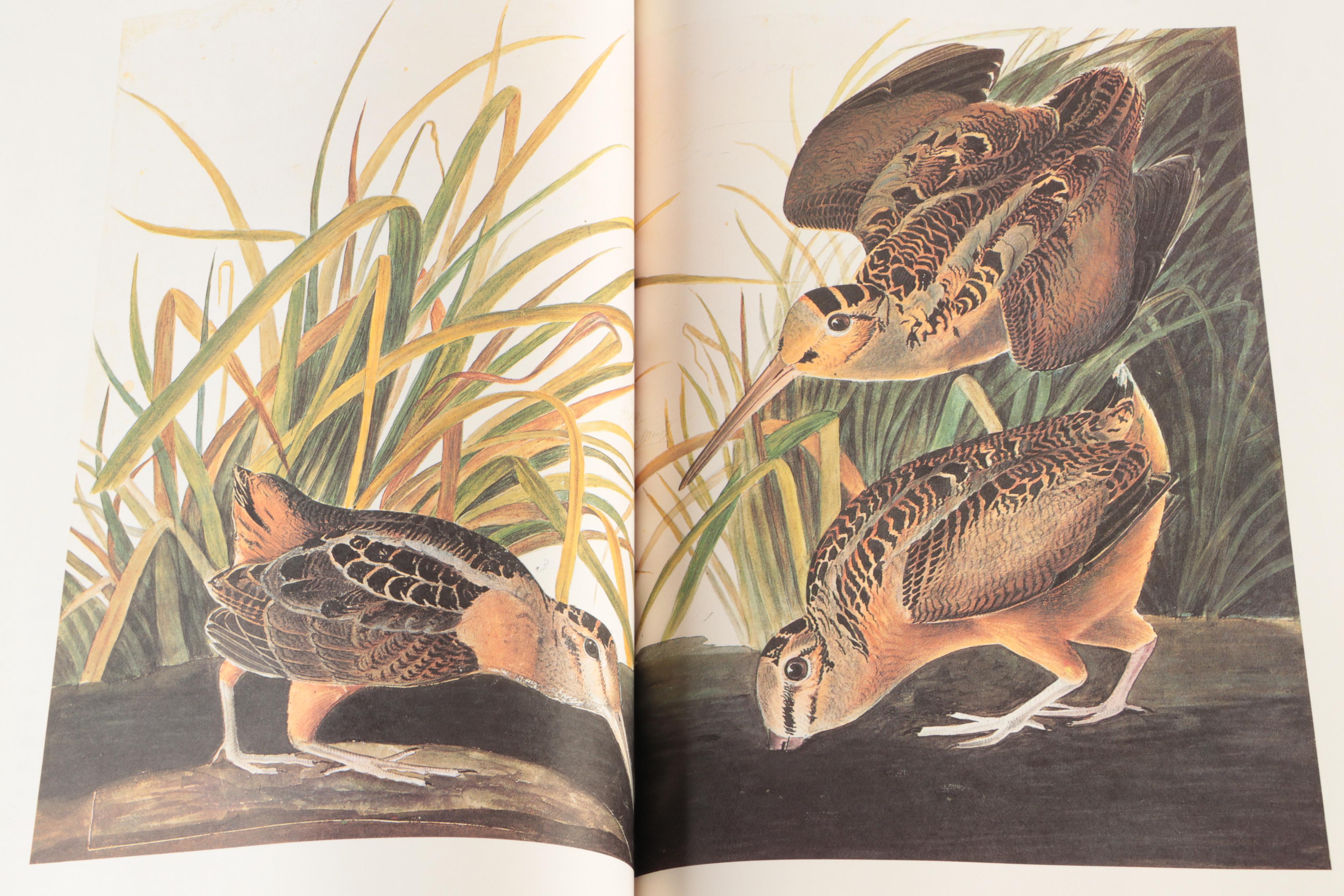 "The Original Water-Color Paintings for The Birds of America" by Audubon, 1966