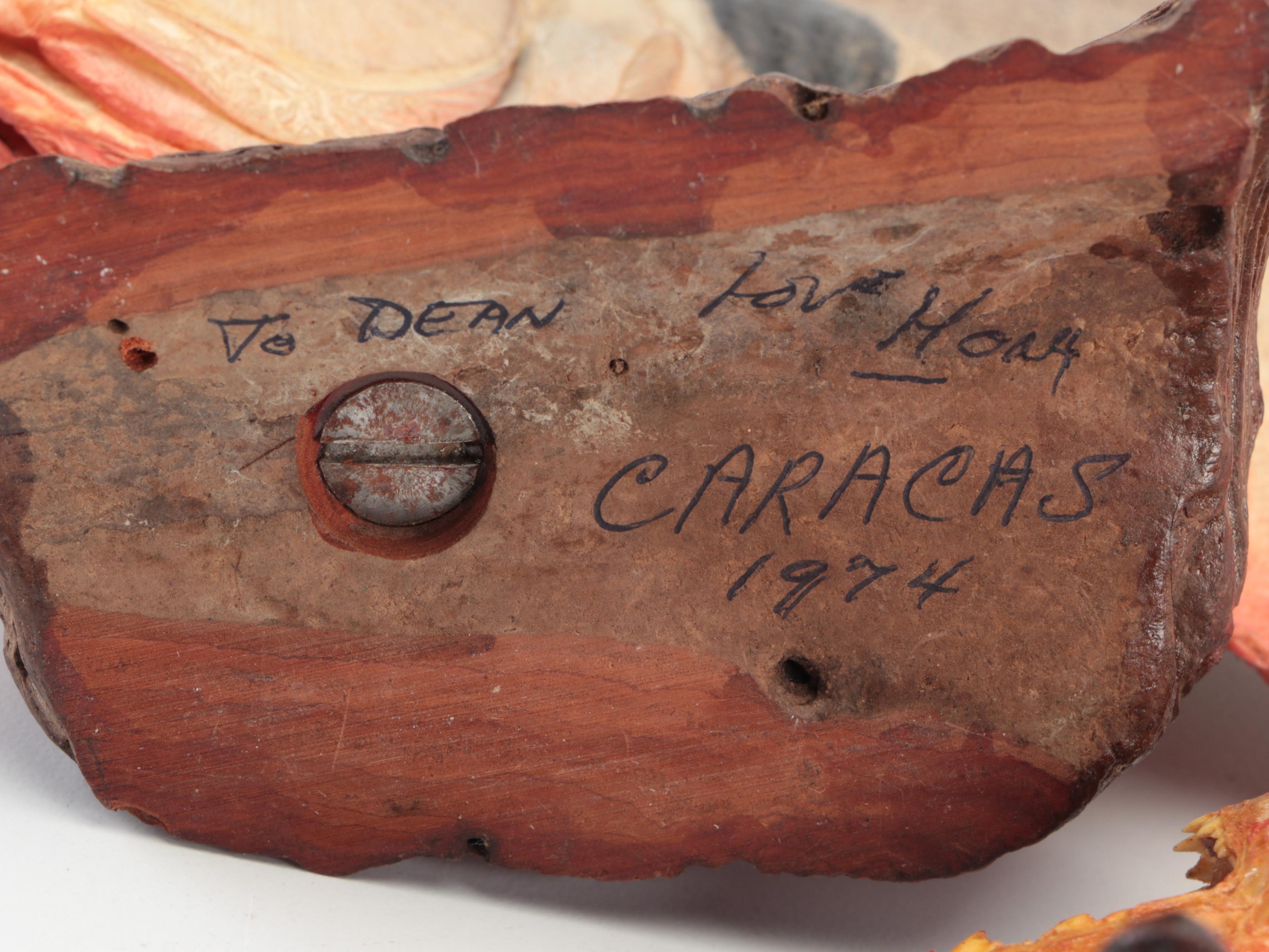 Taxidermy Black Spot Piranha Full Body Mounts