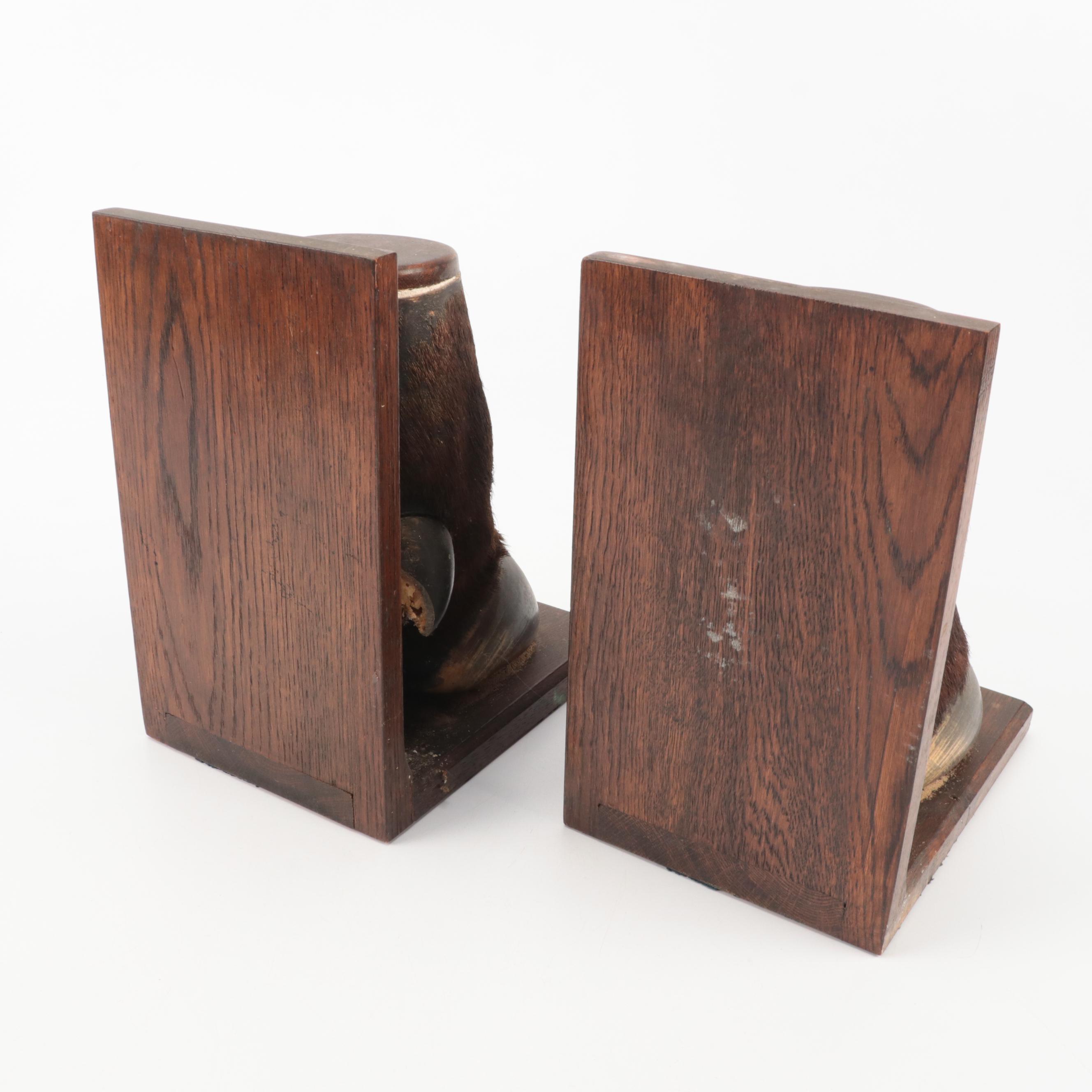 Taxidermy Australian Water Buffalo Hoof Bookends