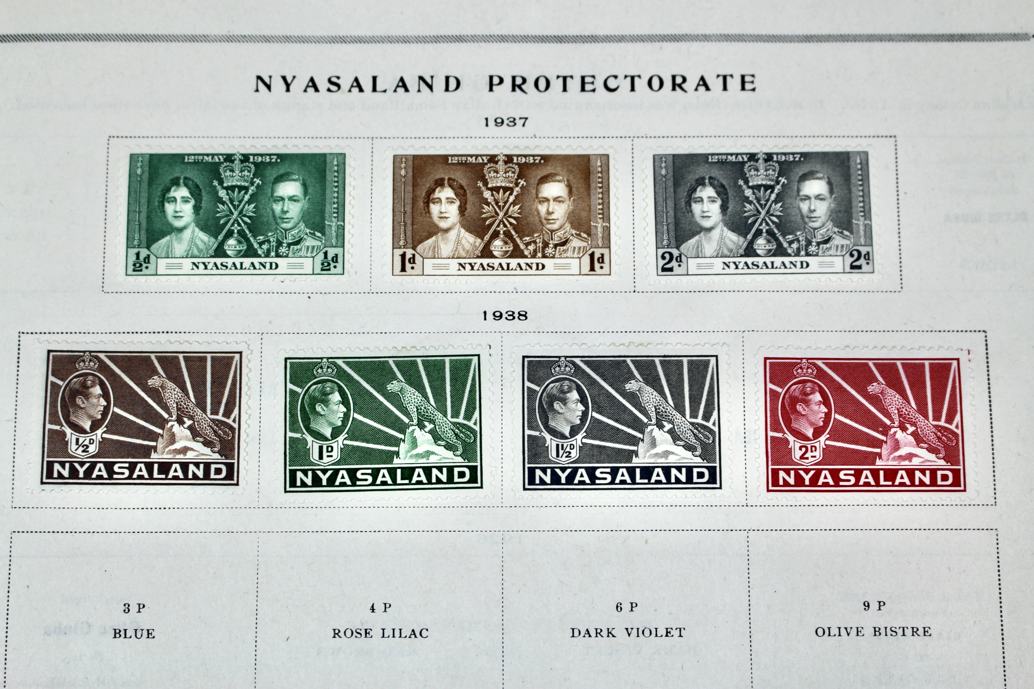 Scott's Junior International Postage Stamp Album