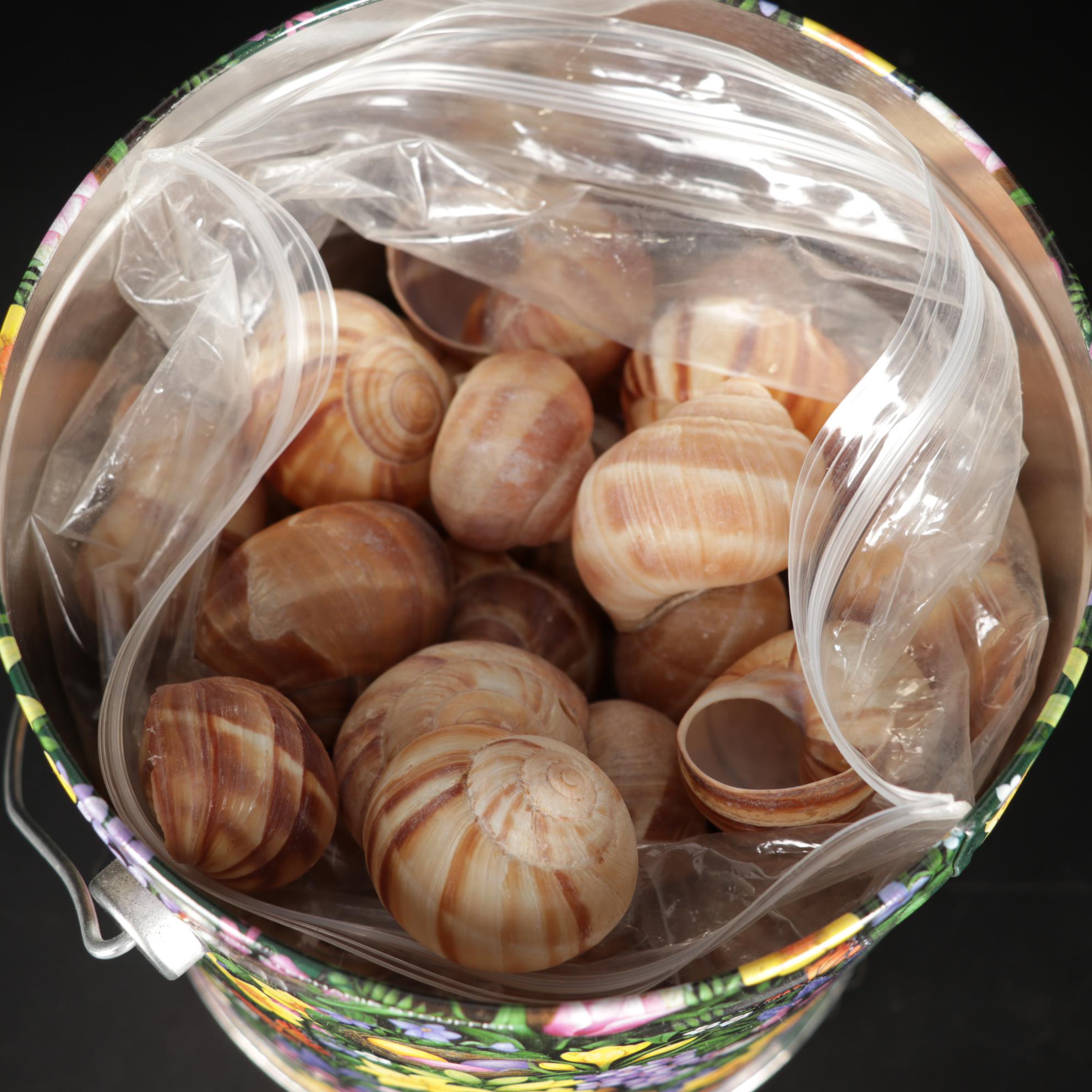 Stegor "Pace" Stainless Flatware, "Antiques" Magazine, Toaster, and Escargot Set