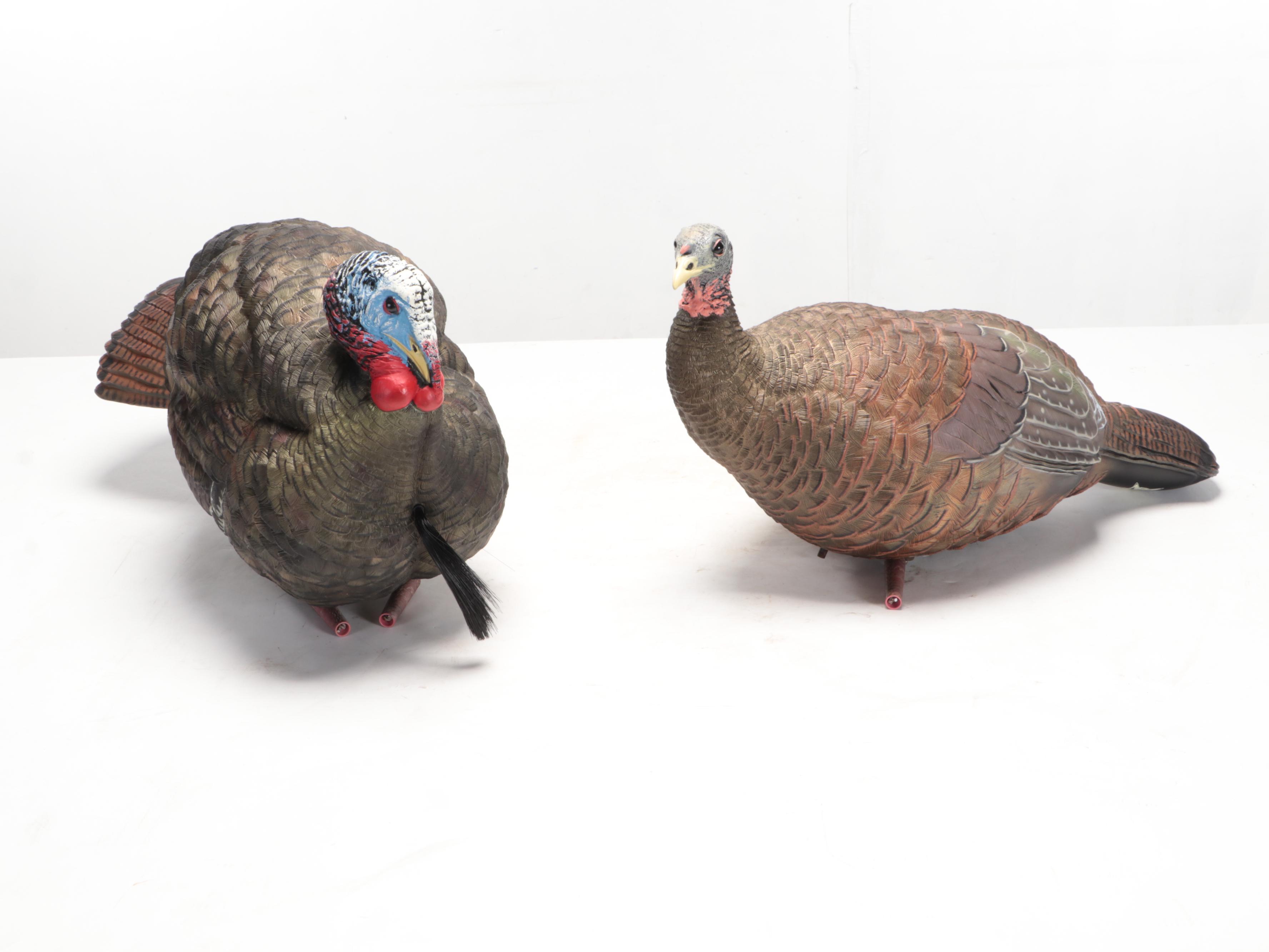 Wild Turkey Tom and Hen Decoys With Digital Field Turkey Scale