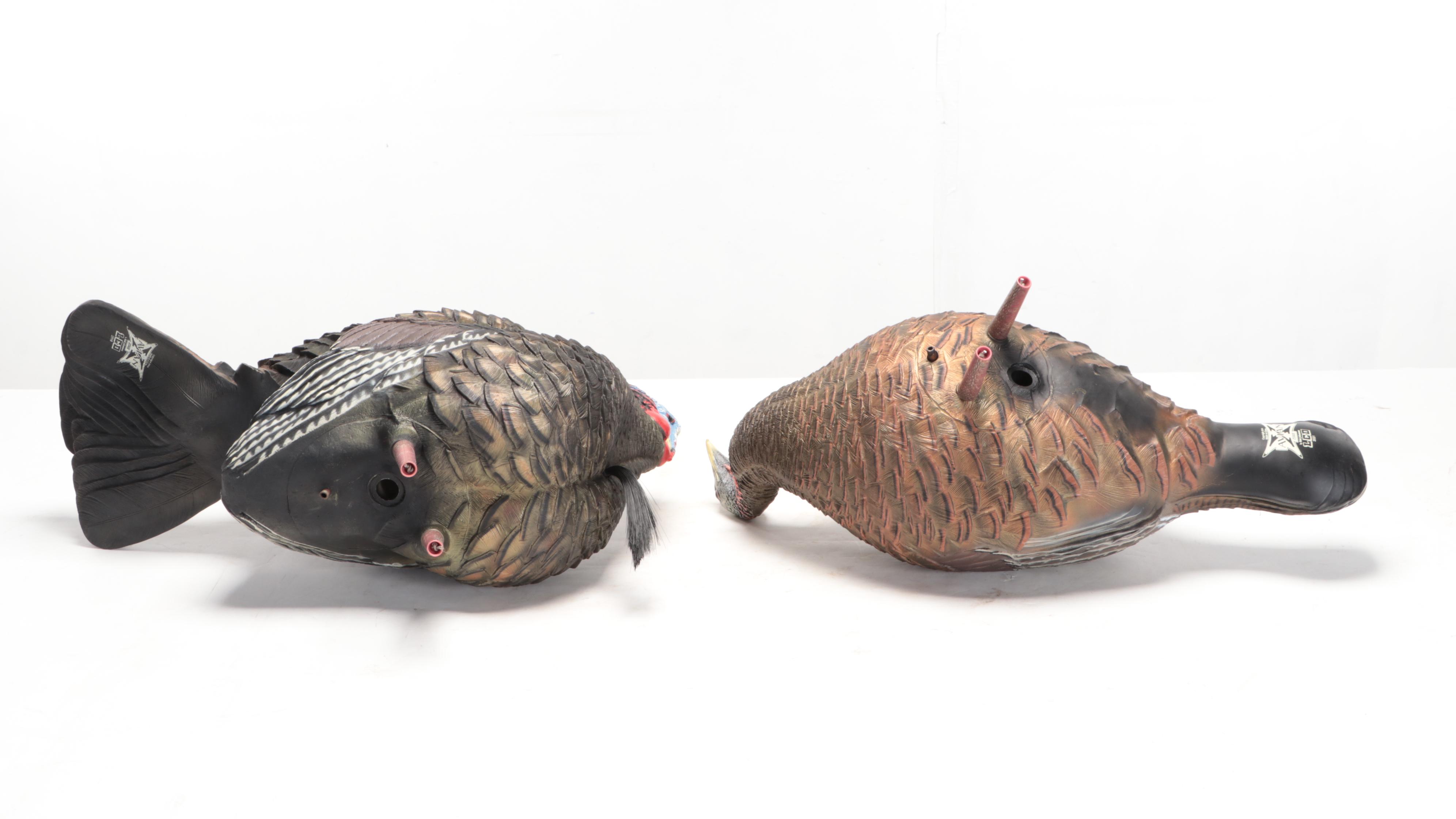 Wild Turkey Tom and Hen Decoys With Digital Field Turkey Scale