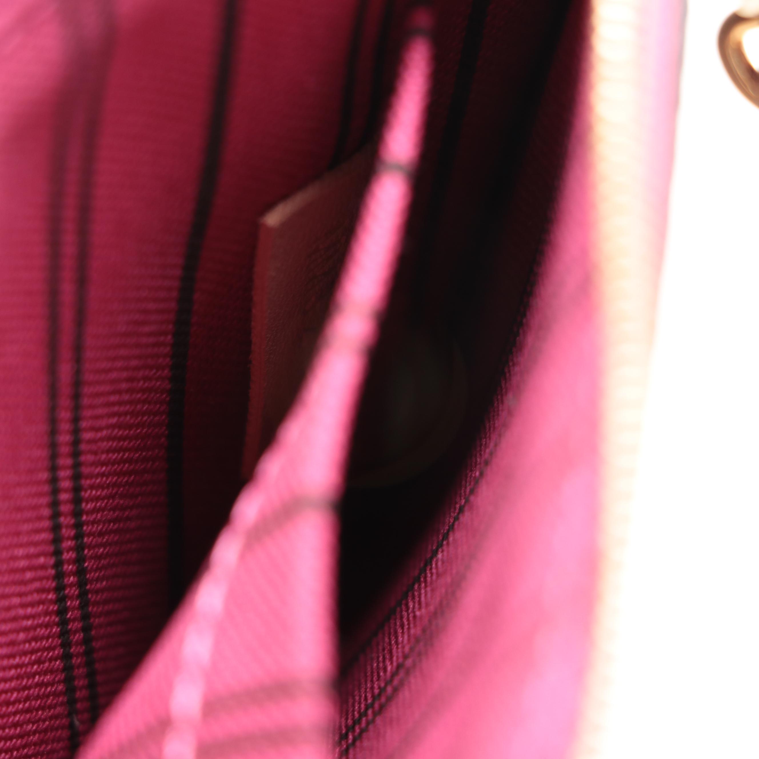 Louis Vuitton Neverfull Pochette in Monogram Canvas