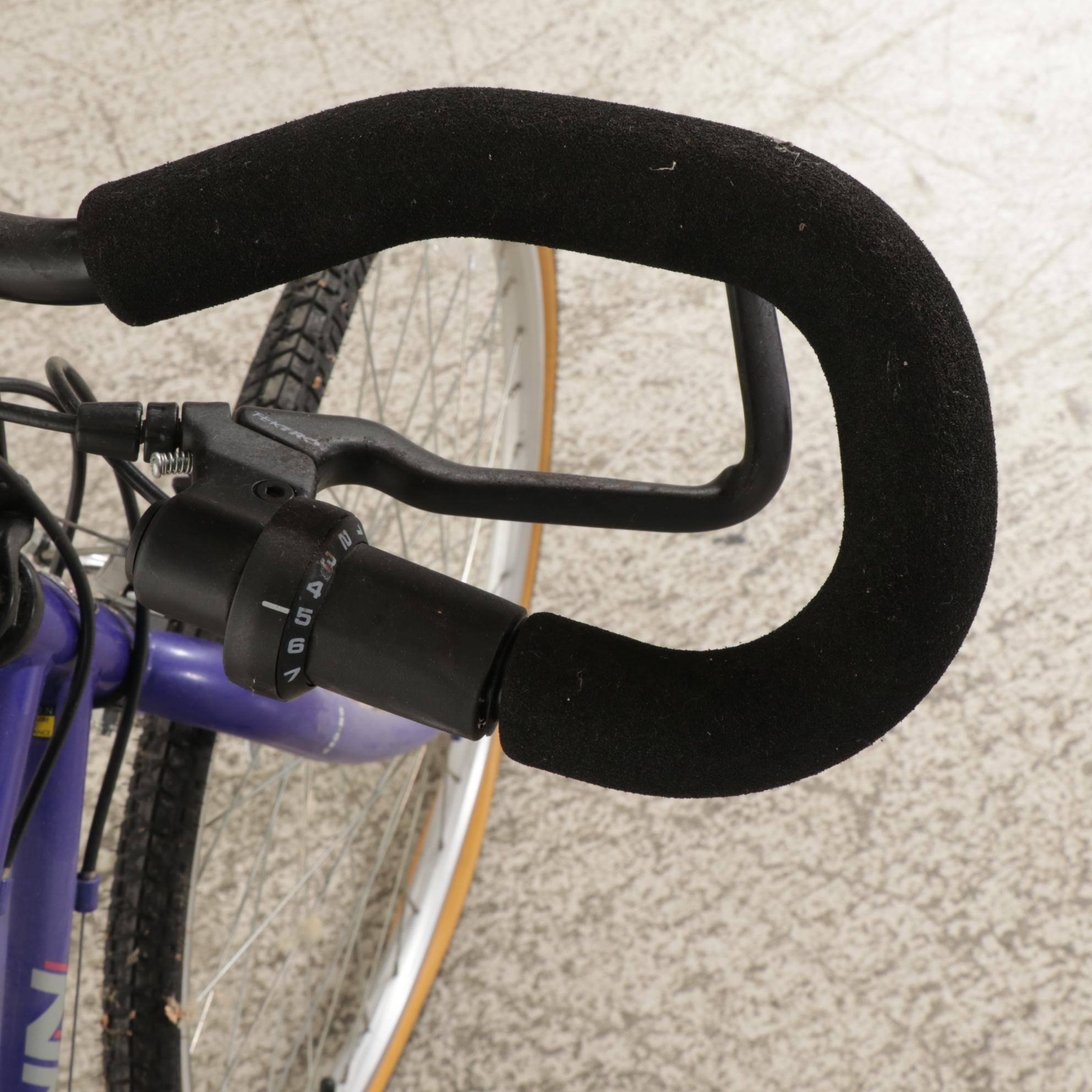 Schwinn Crisscross Bicycle, Late 20th Century