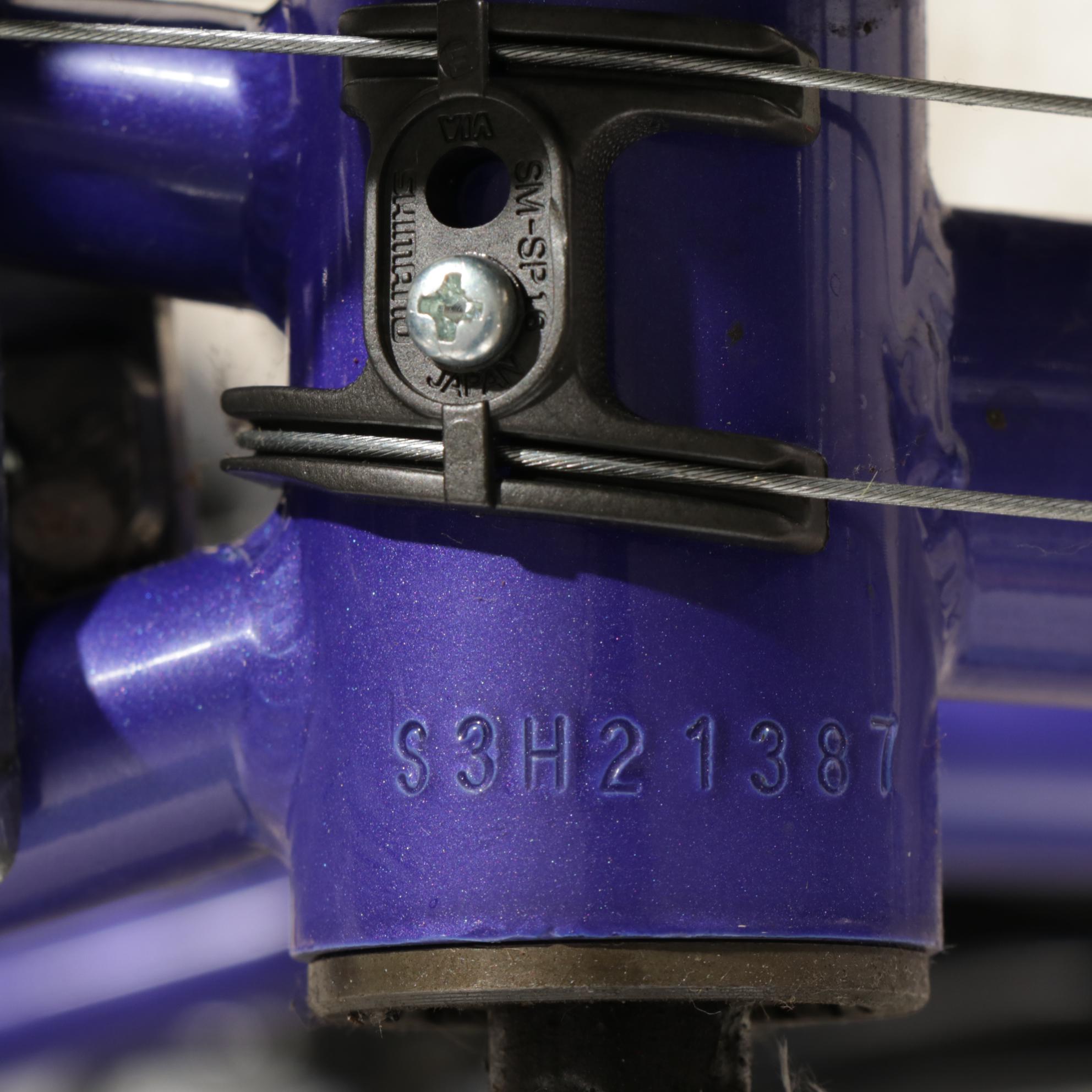 Schwinn Crisscross Bicycle, Late 20th Century