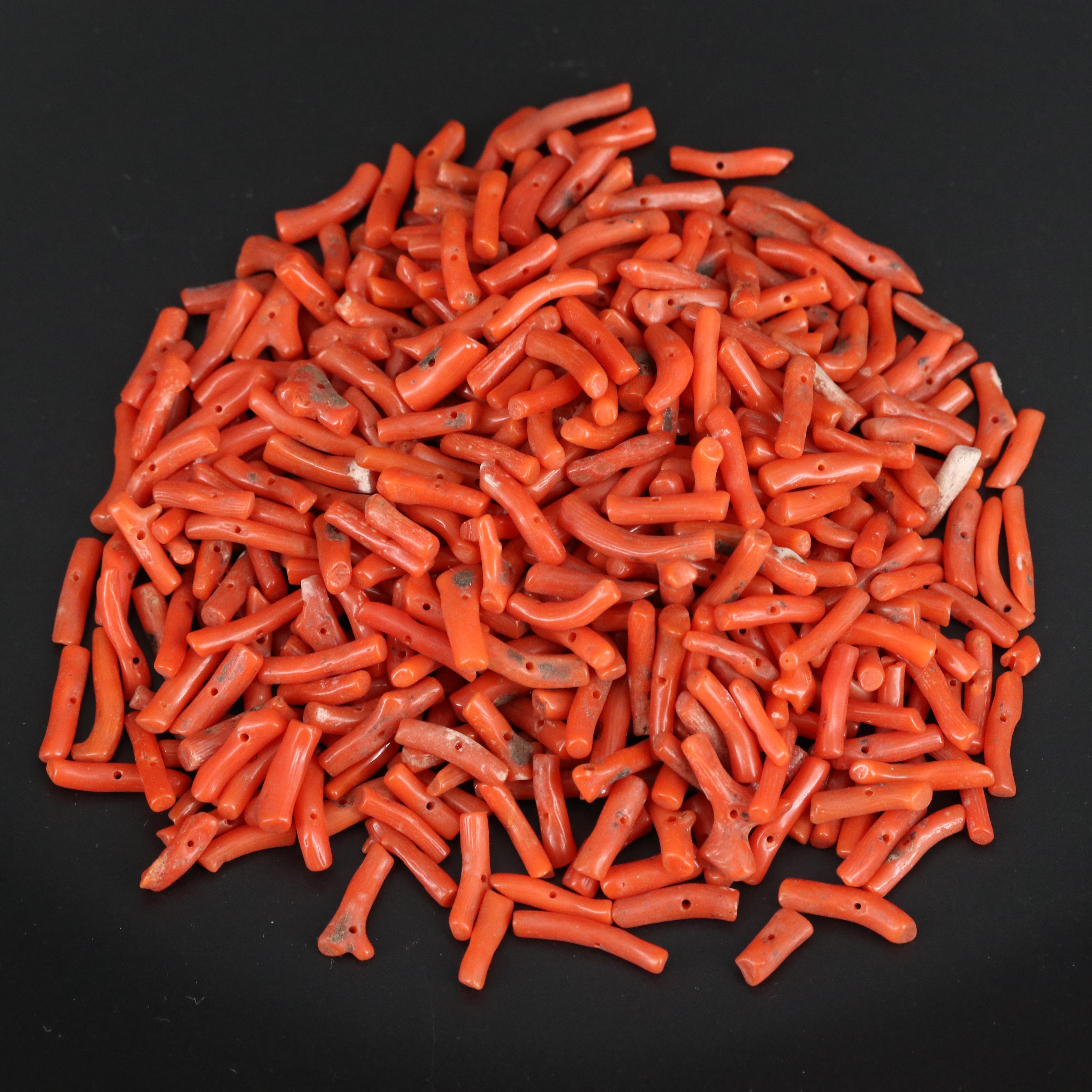 Loose Coral Branches