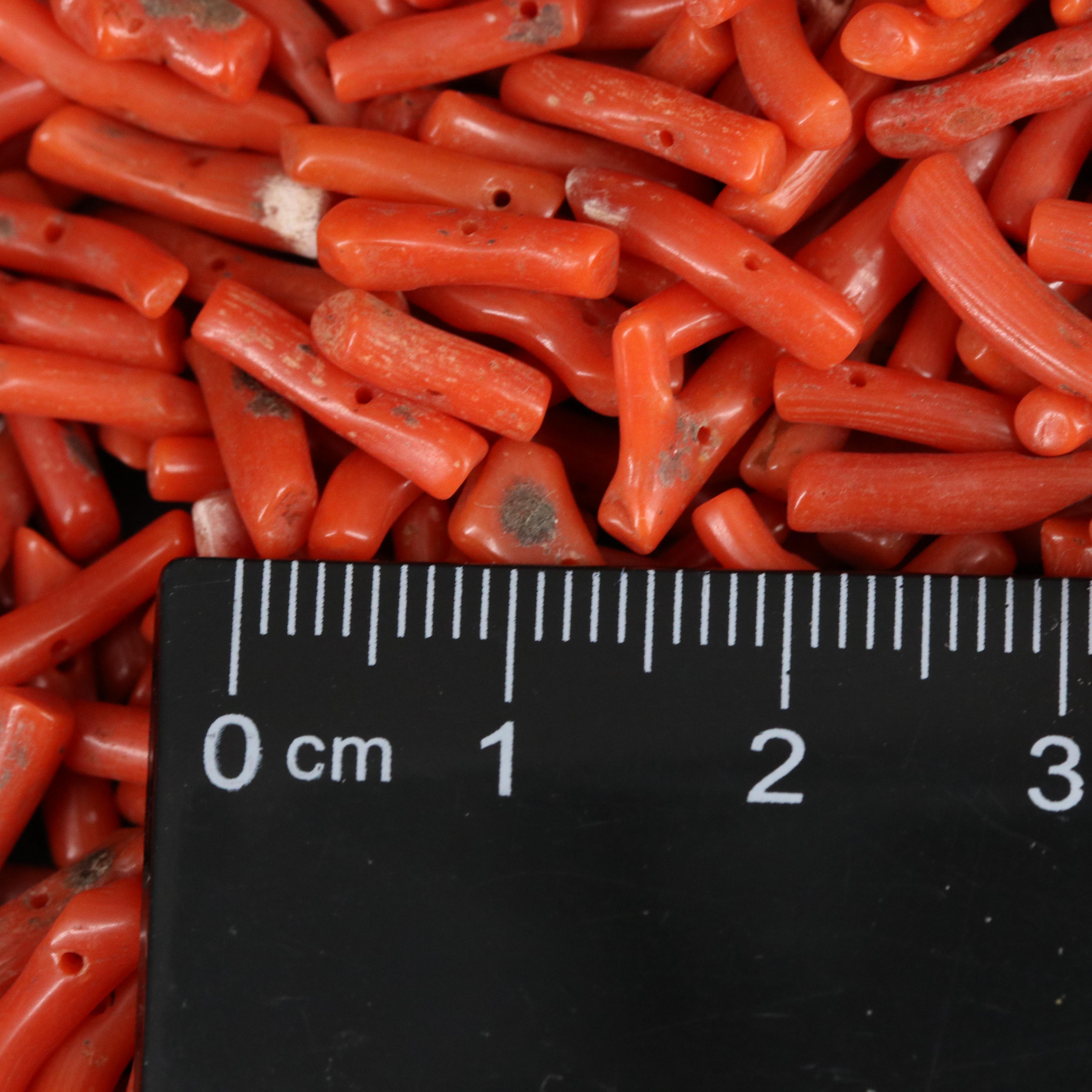 Loose Coral Branches