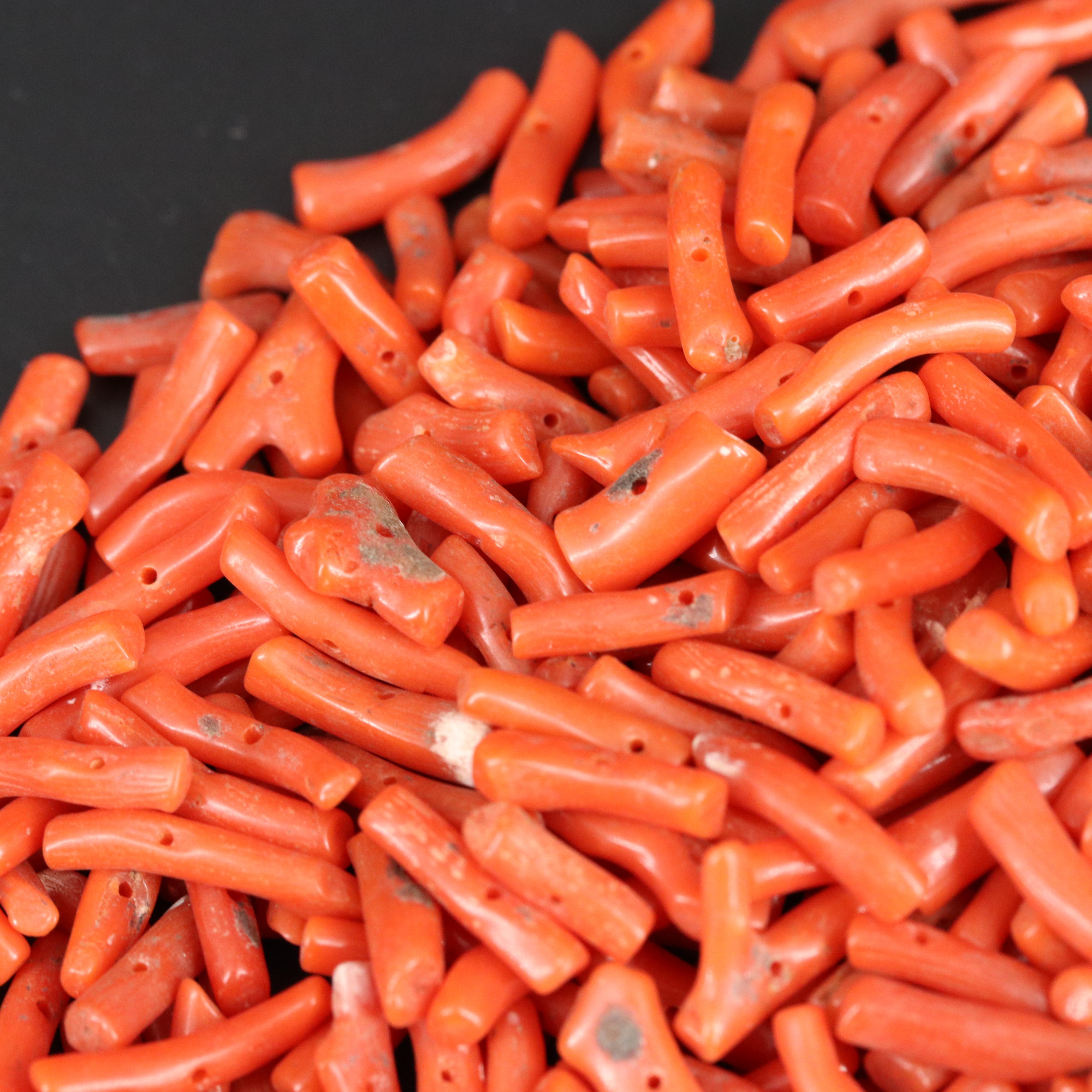 Loose Coral Branches