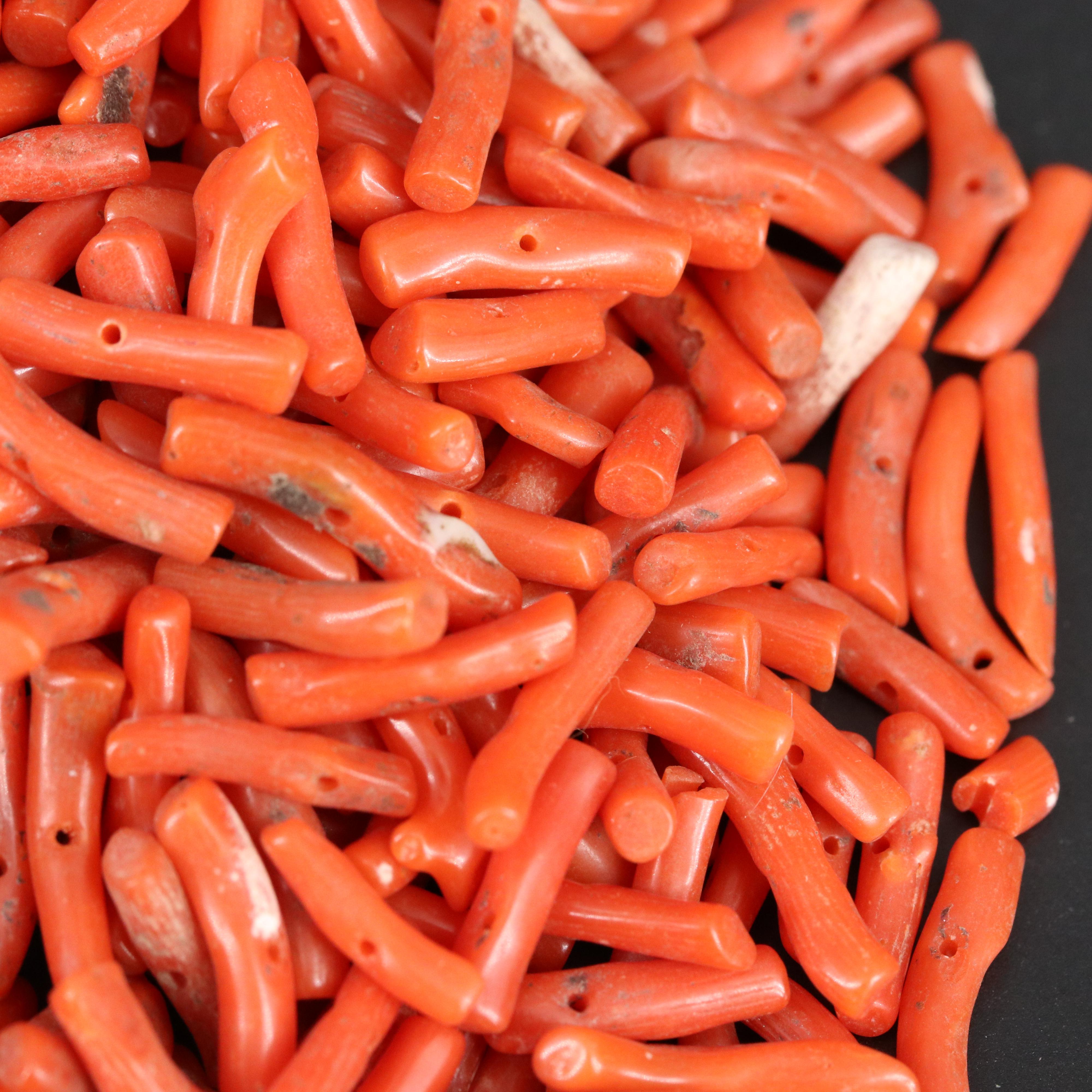 Loose Coral Branches