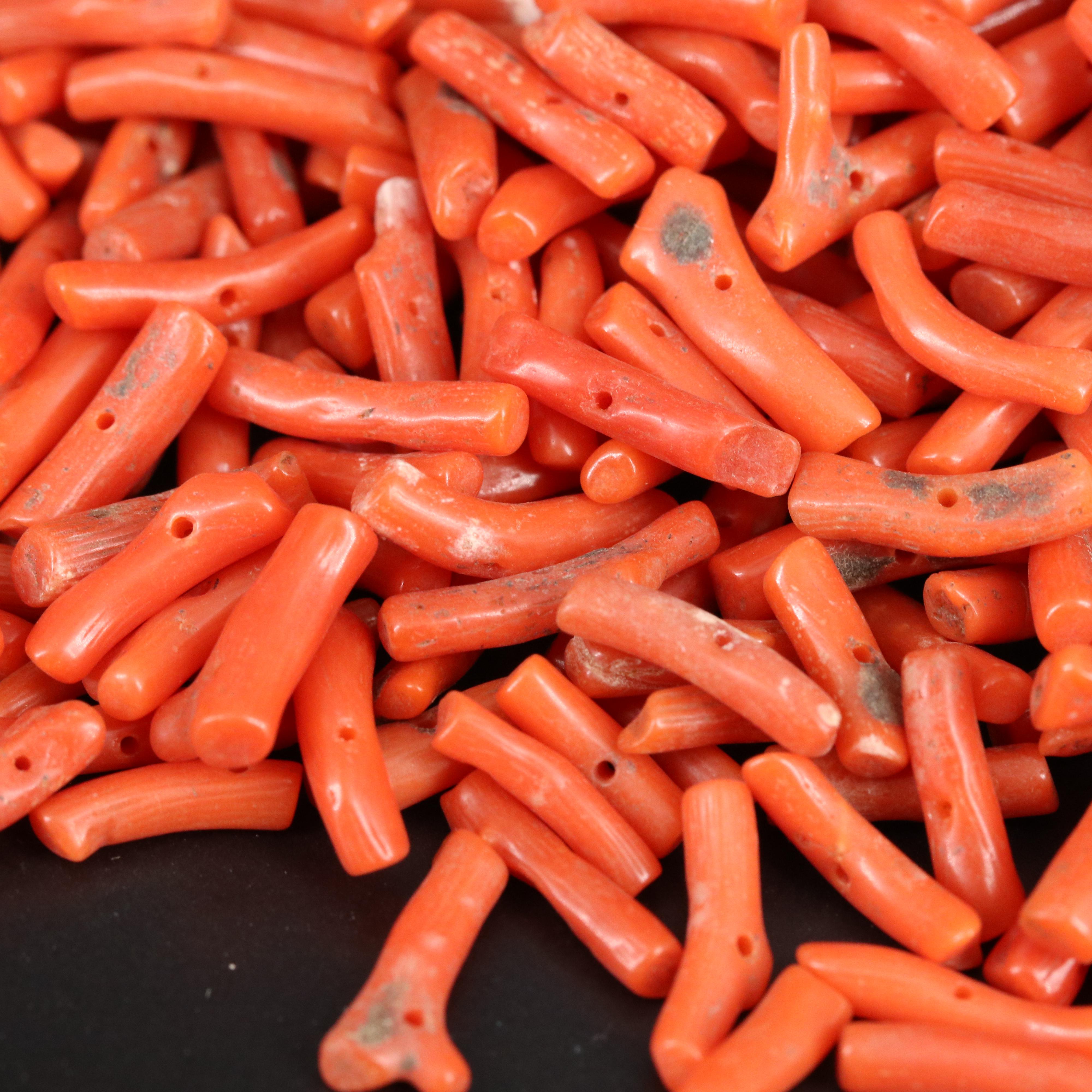 Loose Coral Branches