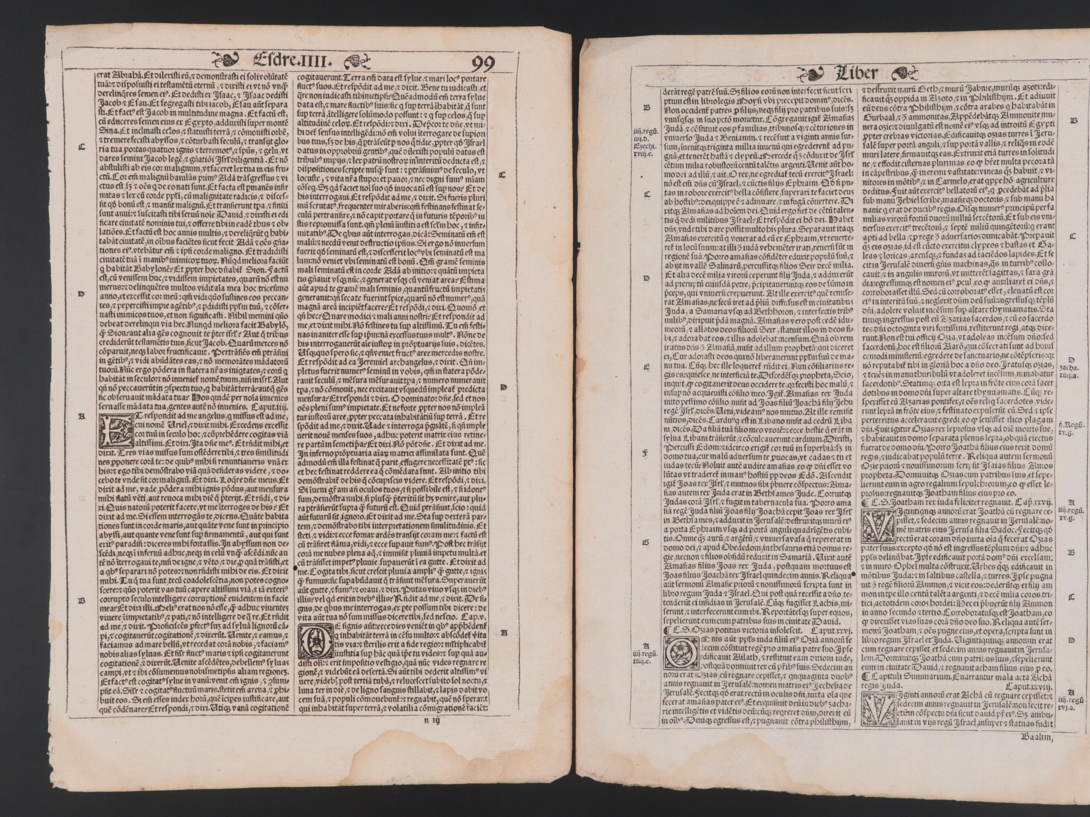 German and Latin Leaves, 16th Century and Later