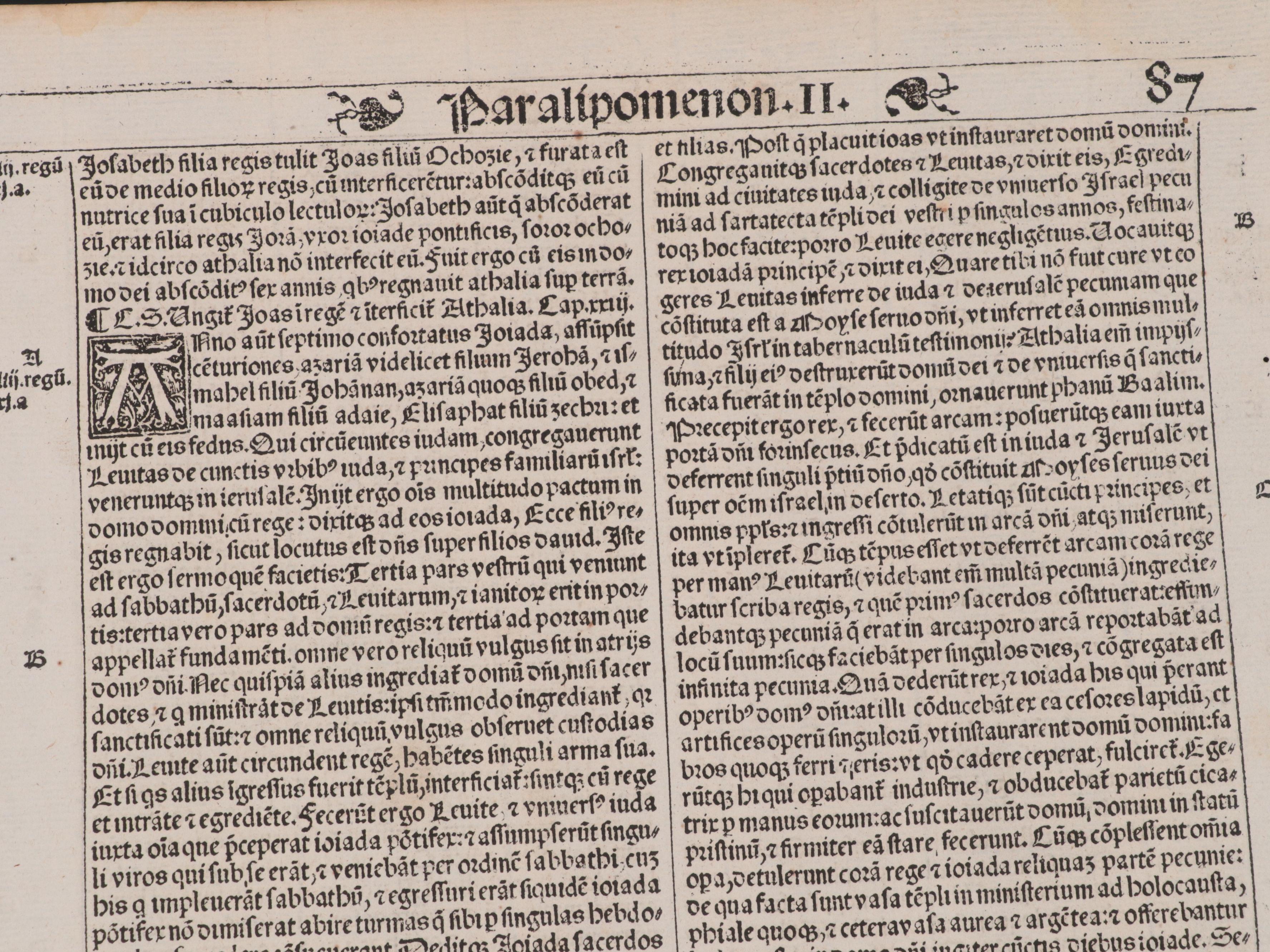 German and Latin Leaves, 16th Century and Later