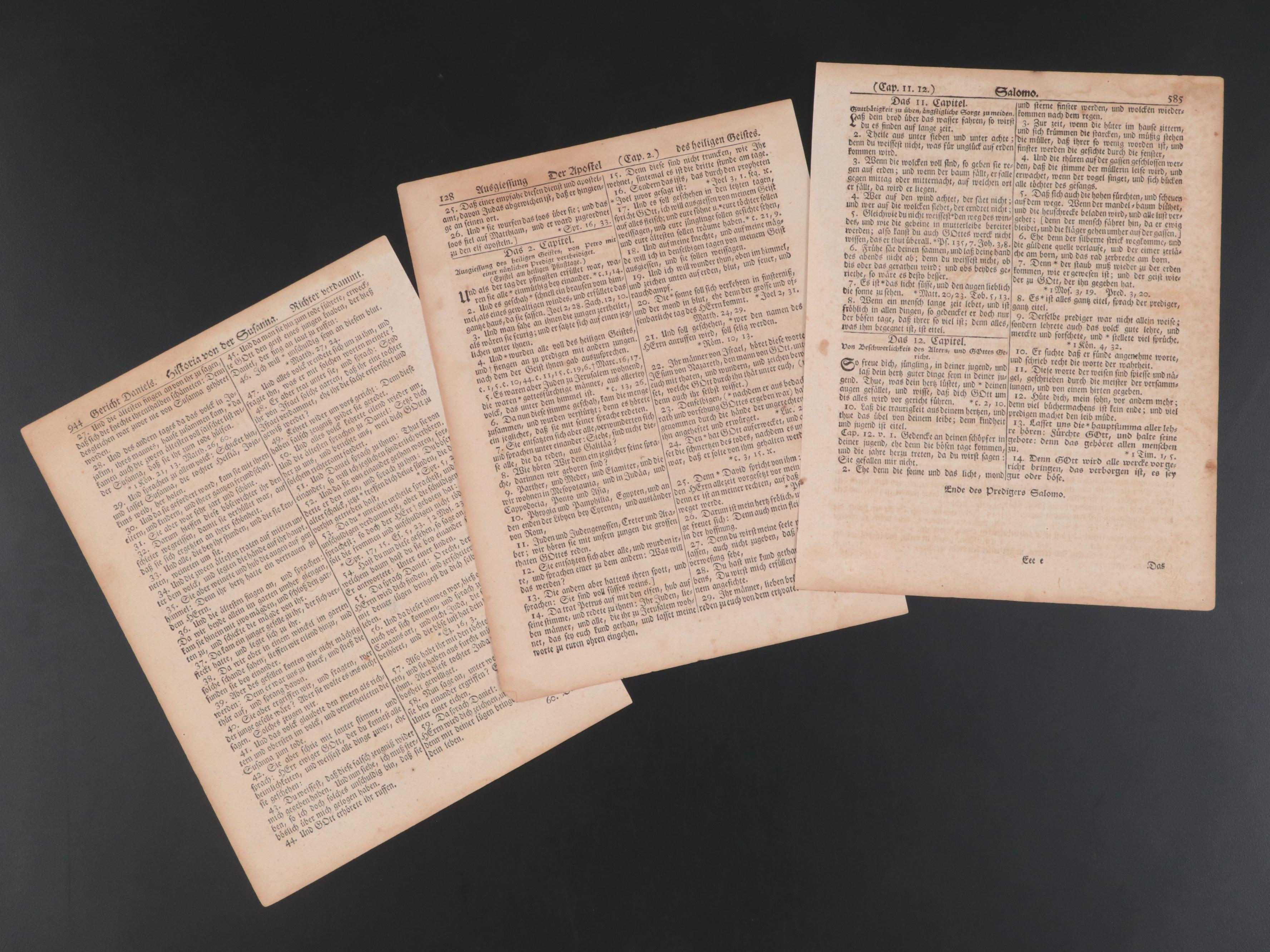 German and Latin Leaves, 16th Century and Later