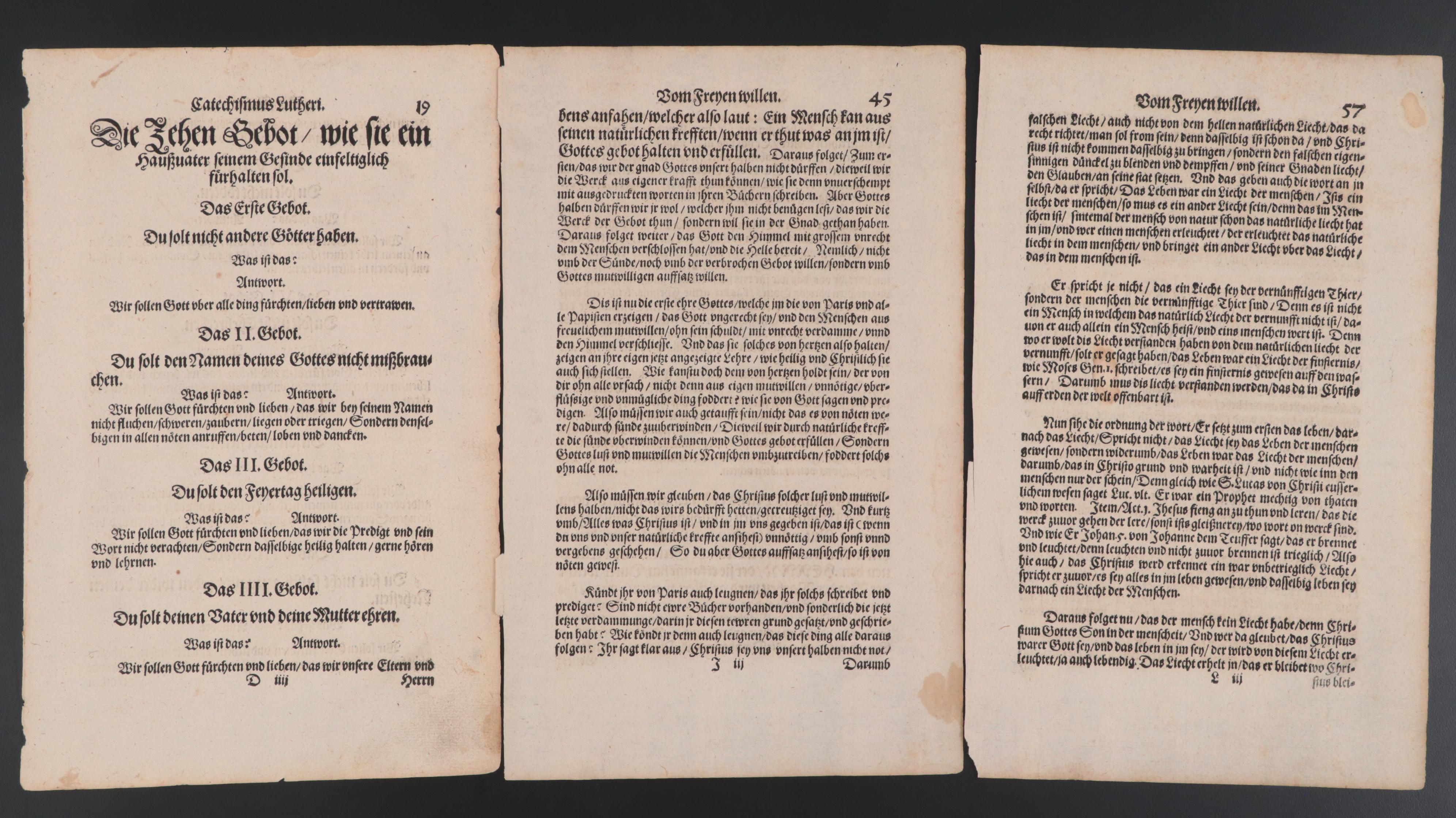 German and Latin Leaves, 16th Century and Later
