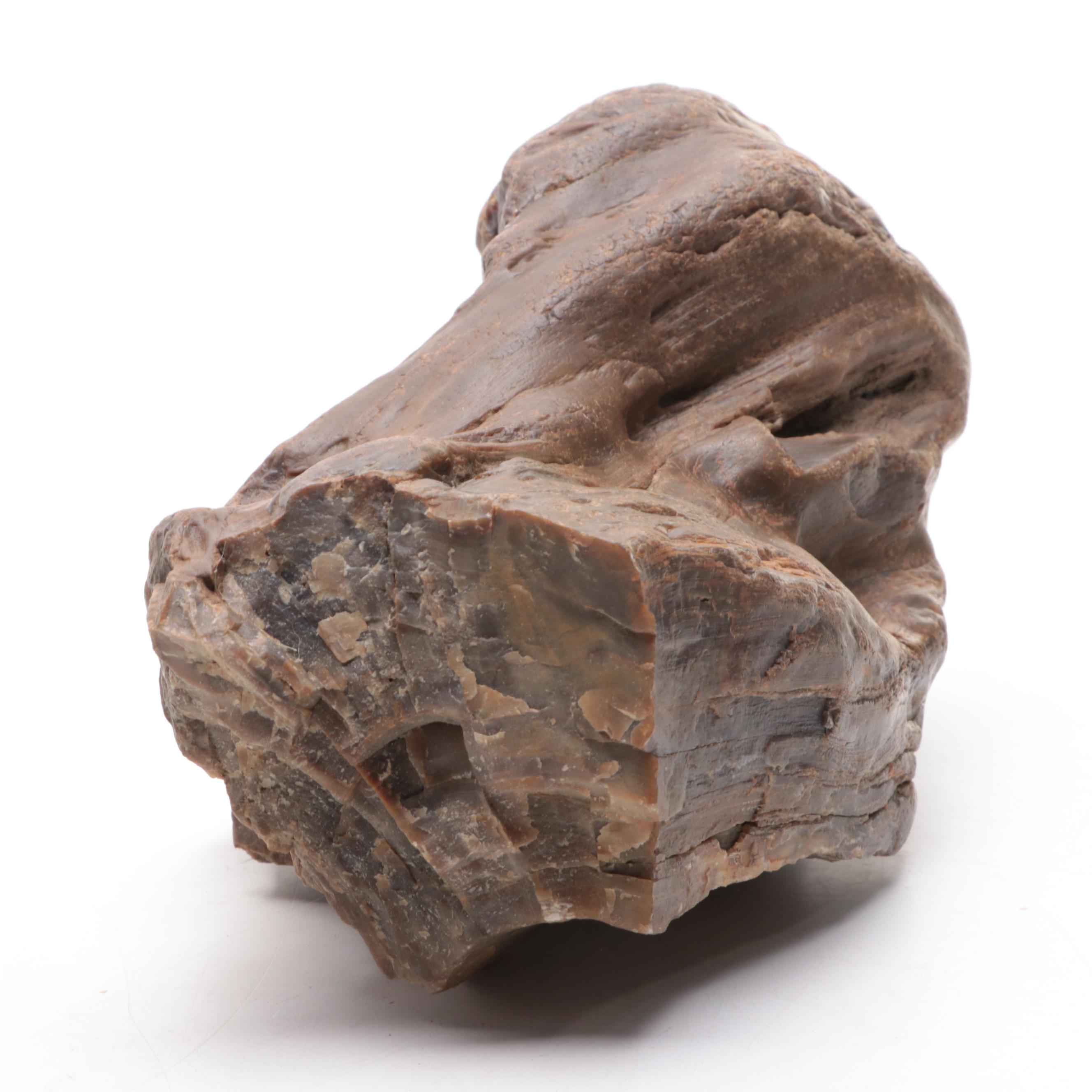 Brecciated Jasper, Petrified Wood and Ferruginous Quartz Specimens