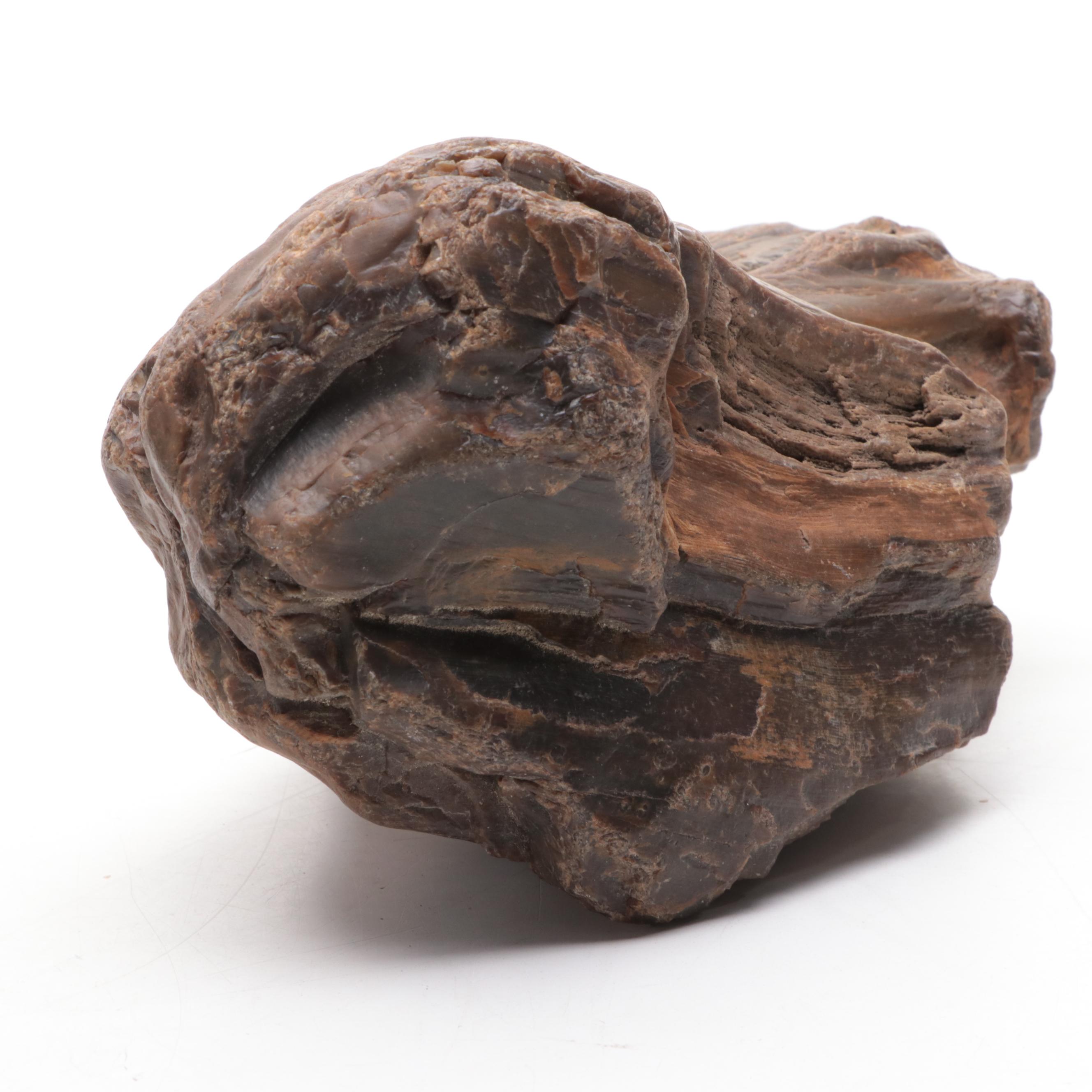 Brecciated Jasper, Petrified Wood and Ferruginous Quartz Specimens