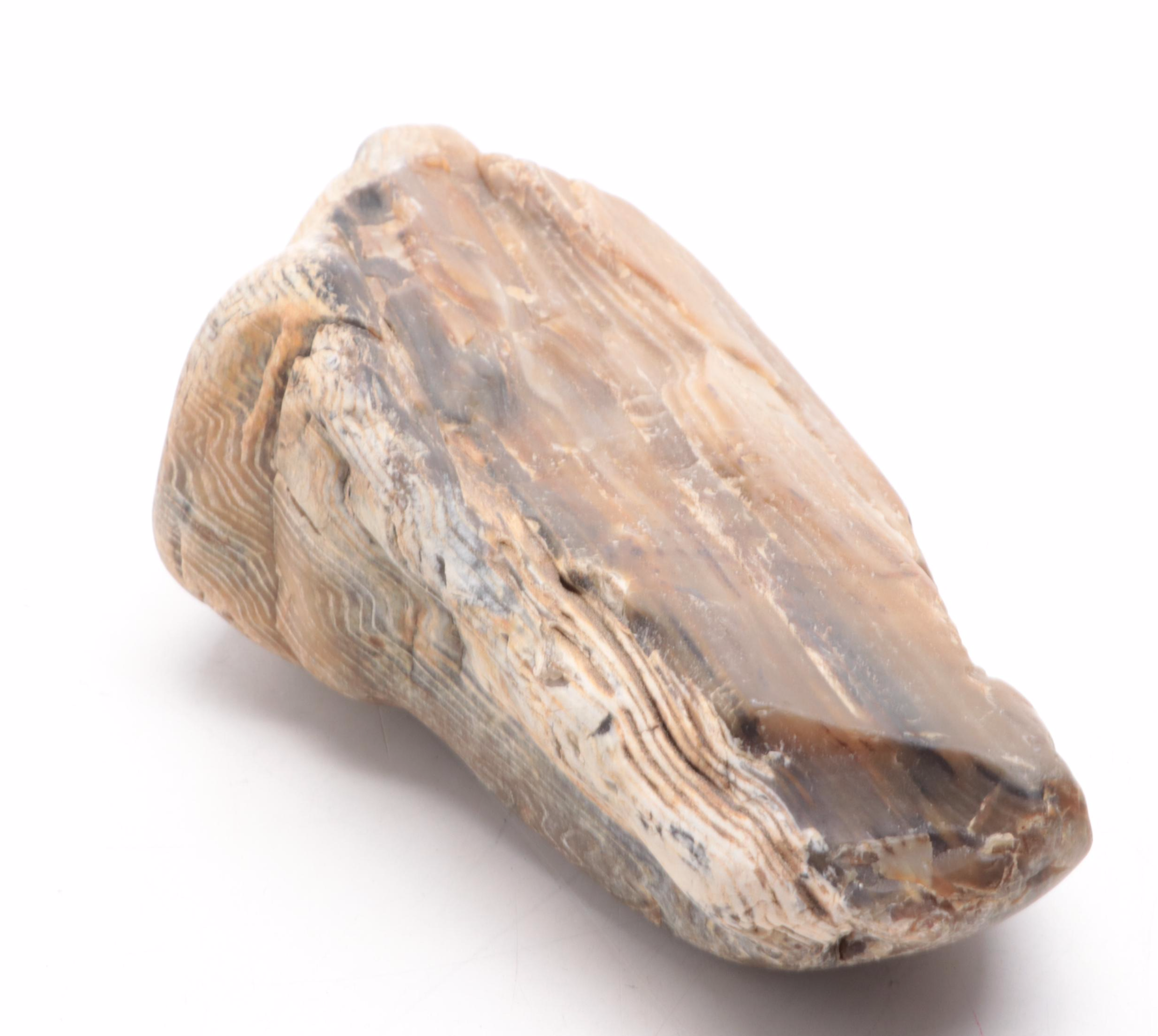 Brecciated Jasper, Petrified Wood and Ferruginous Quartz Specimens