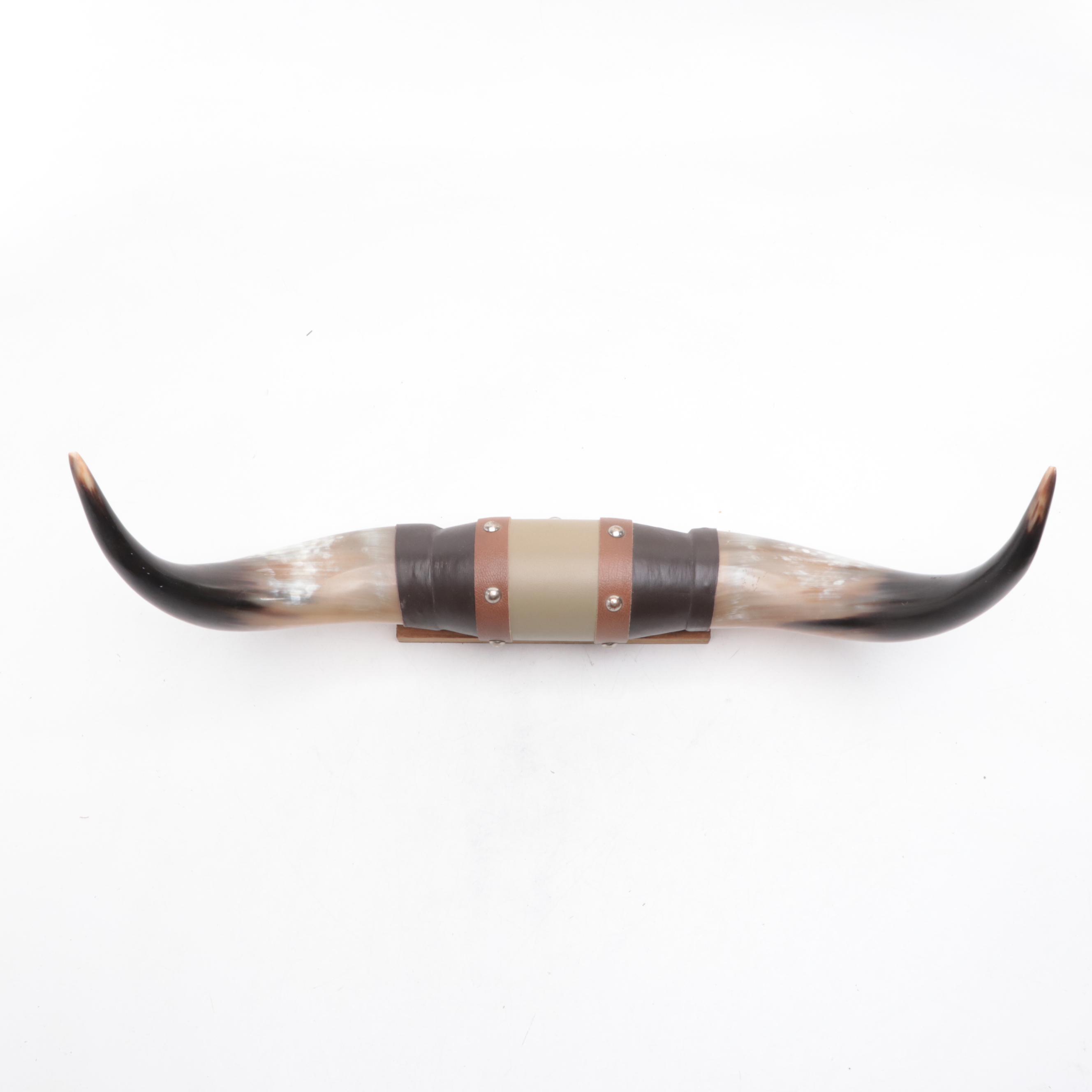 Taxidermy Mounted Steer Horns with Leather Wrap