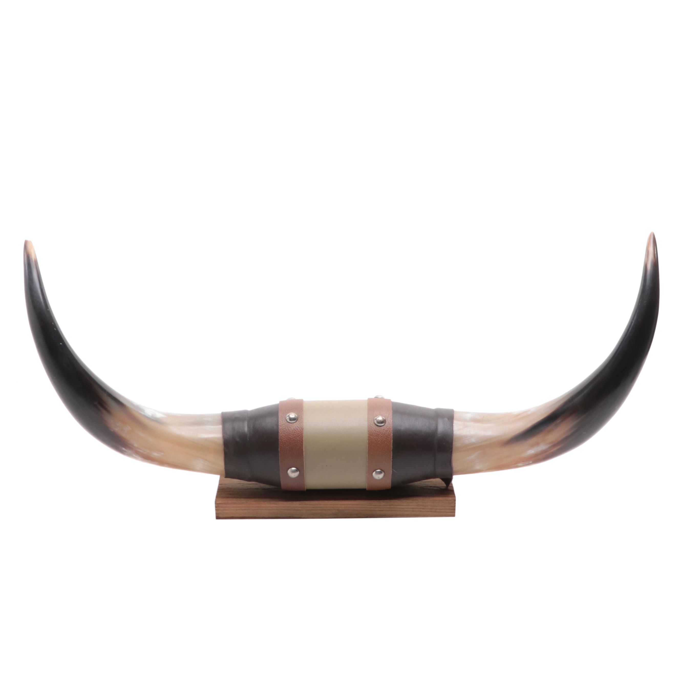 Taxidermy Mounted Steer Horns with Leather Wrap