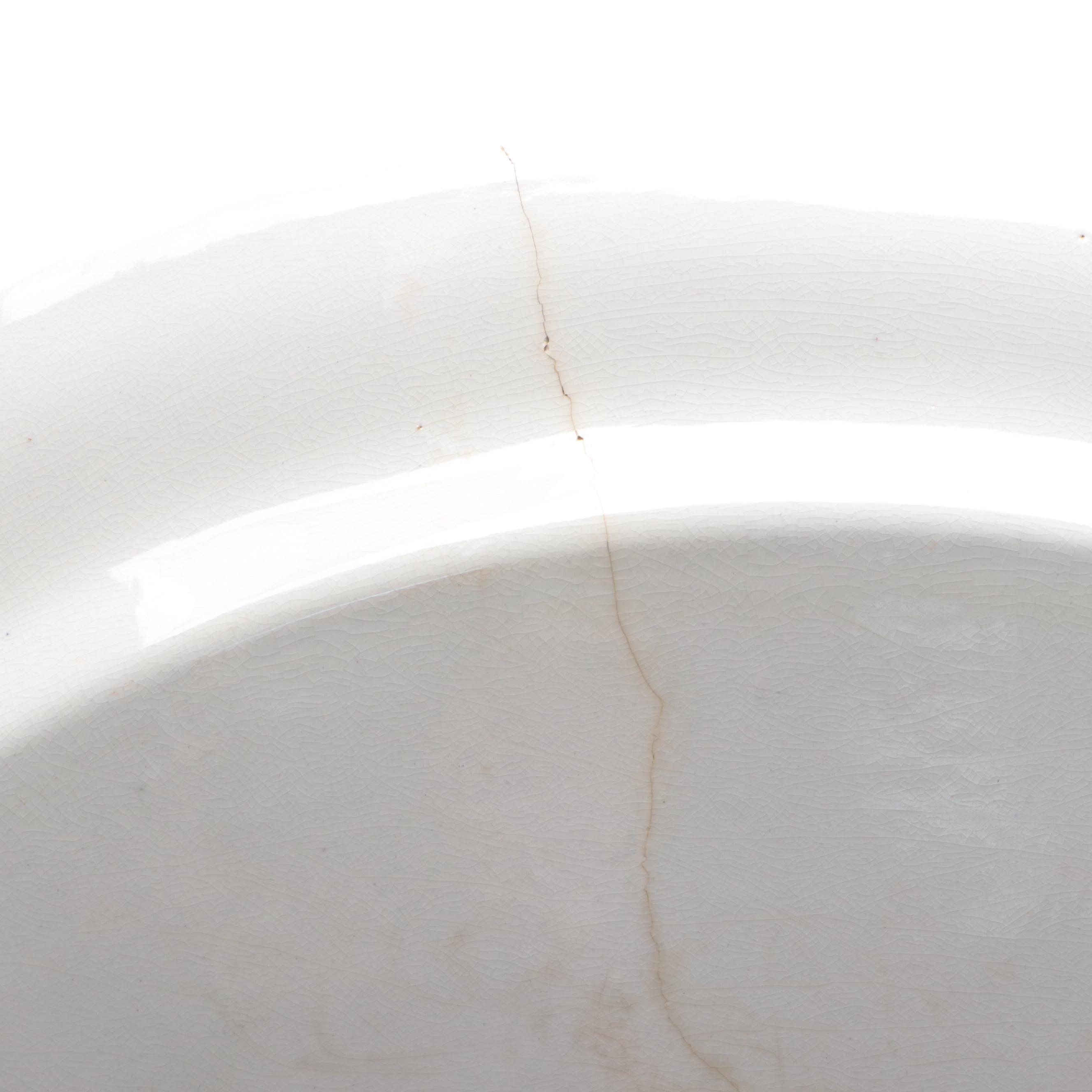 Staffordshire Polychrome Transferware Tom Turkey Platter and Plates