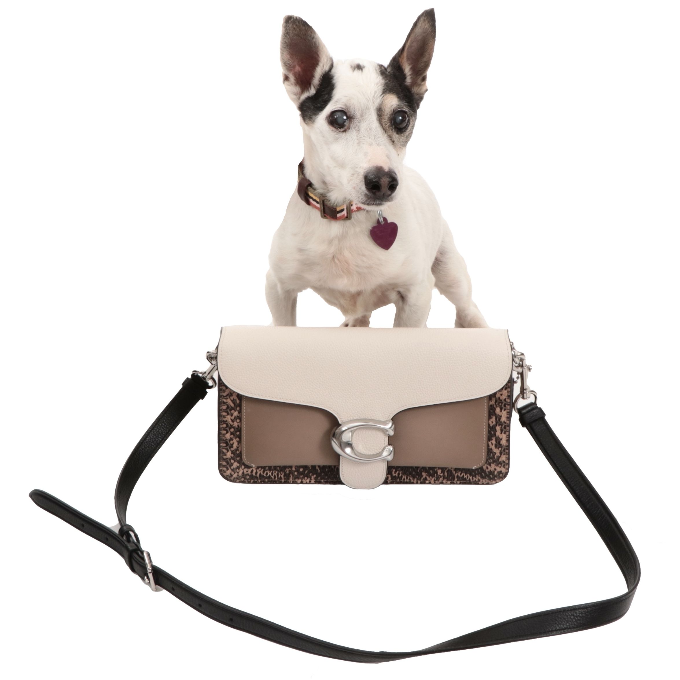 Coach Tabby Shoulder Bag 26 in Leather with Snakeskin Trim