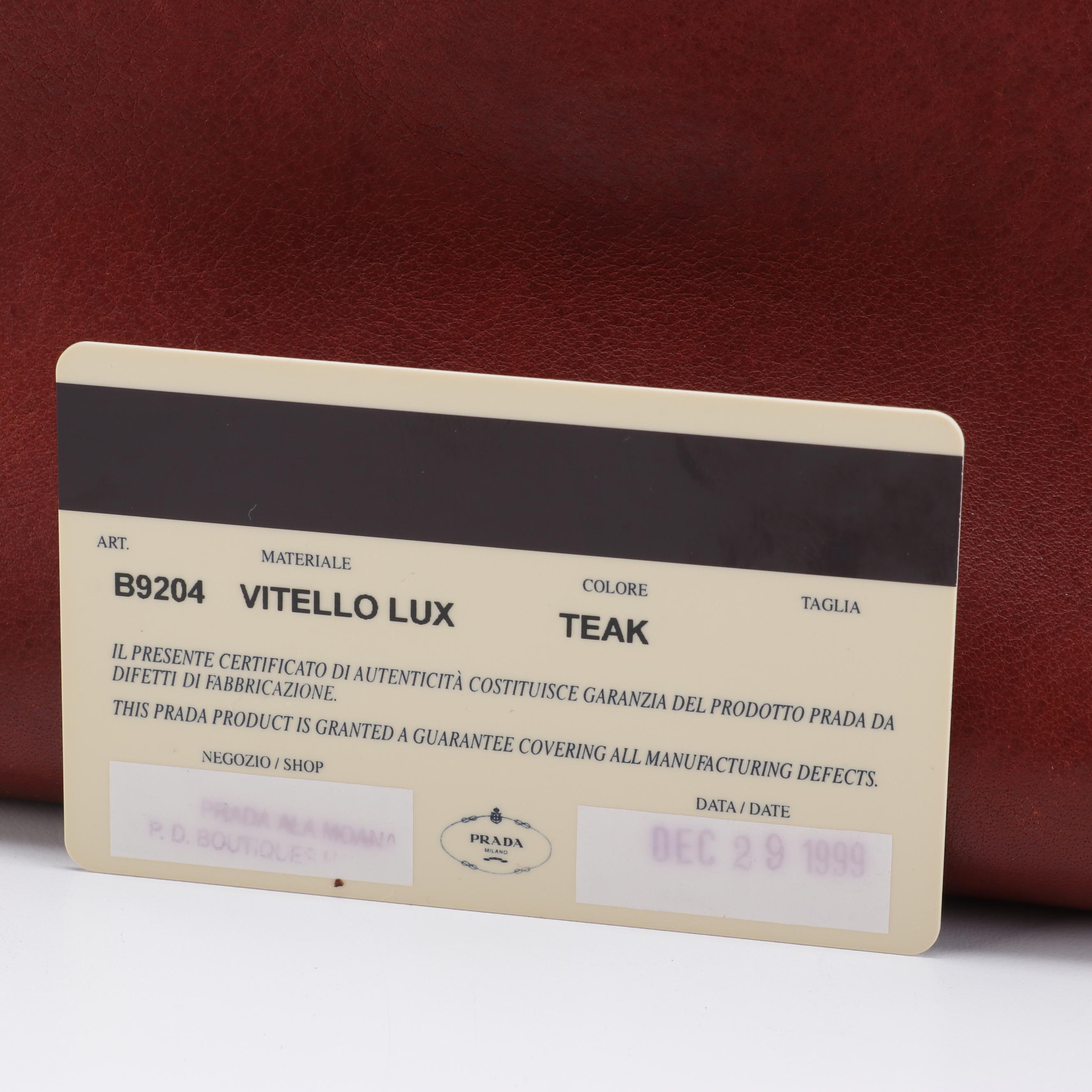 Prada Buffalo Easy Shoulder Bag in Brown Leather