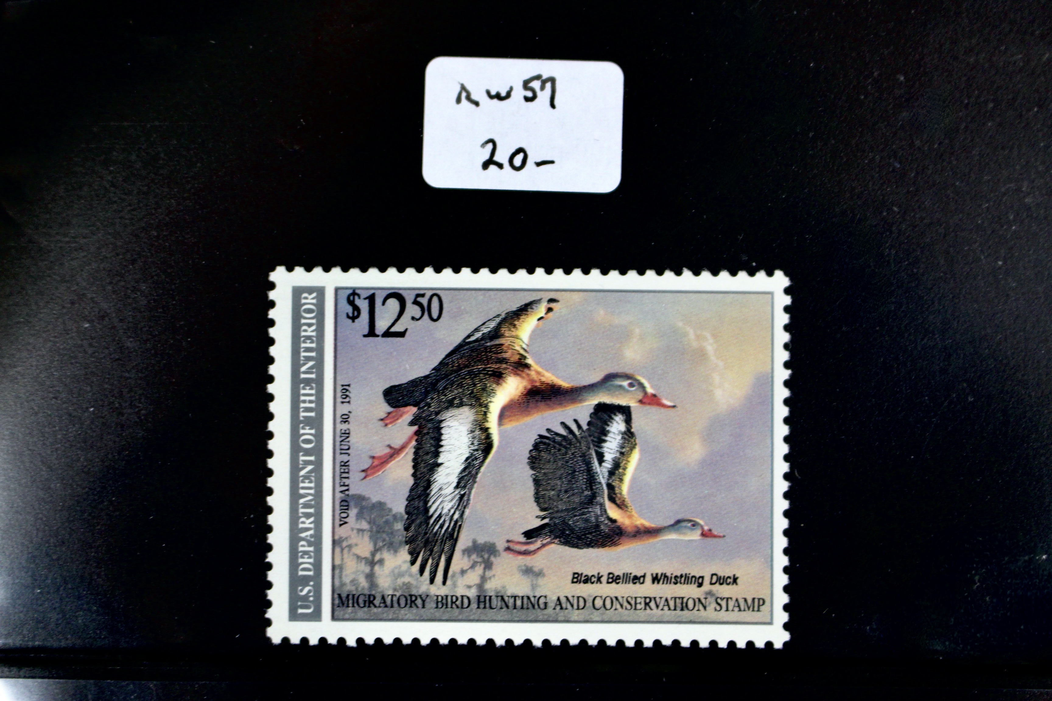 U.S. Duck Stamp Collection