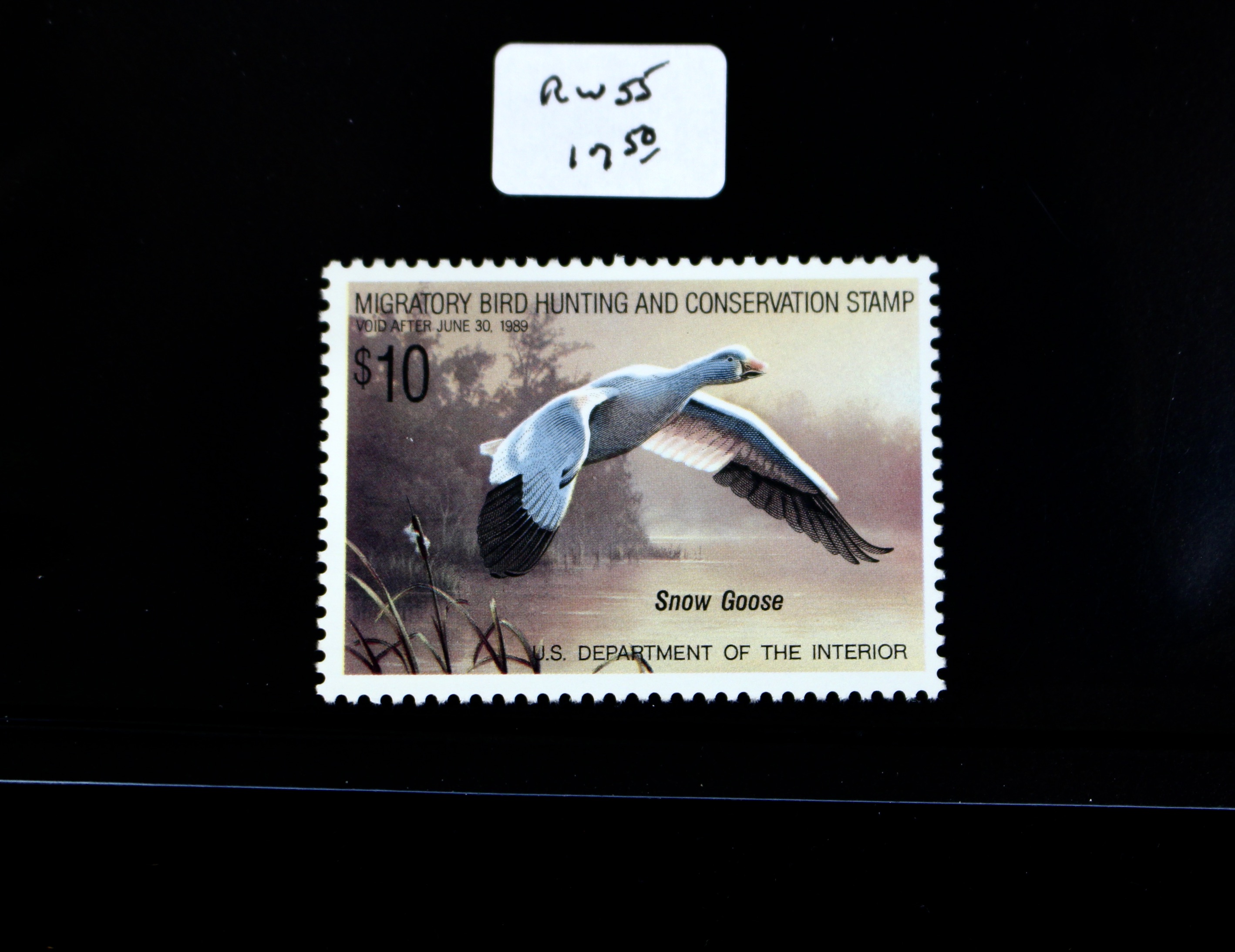 U.S. Duck Stamp Collection
