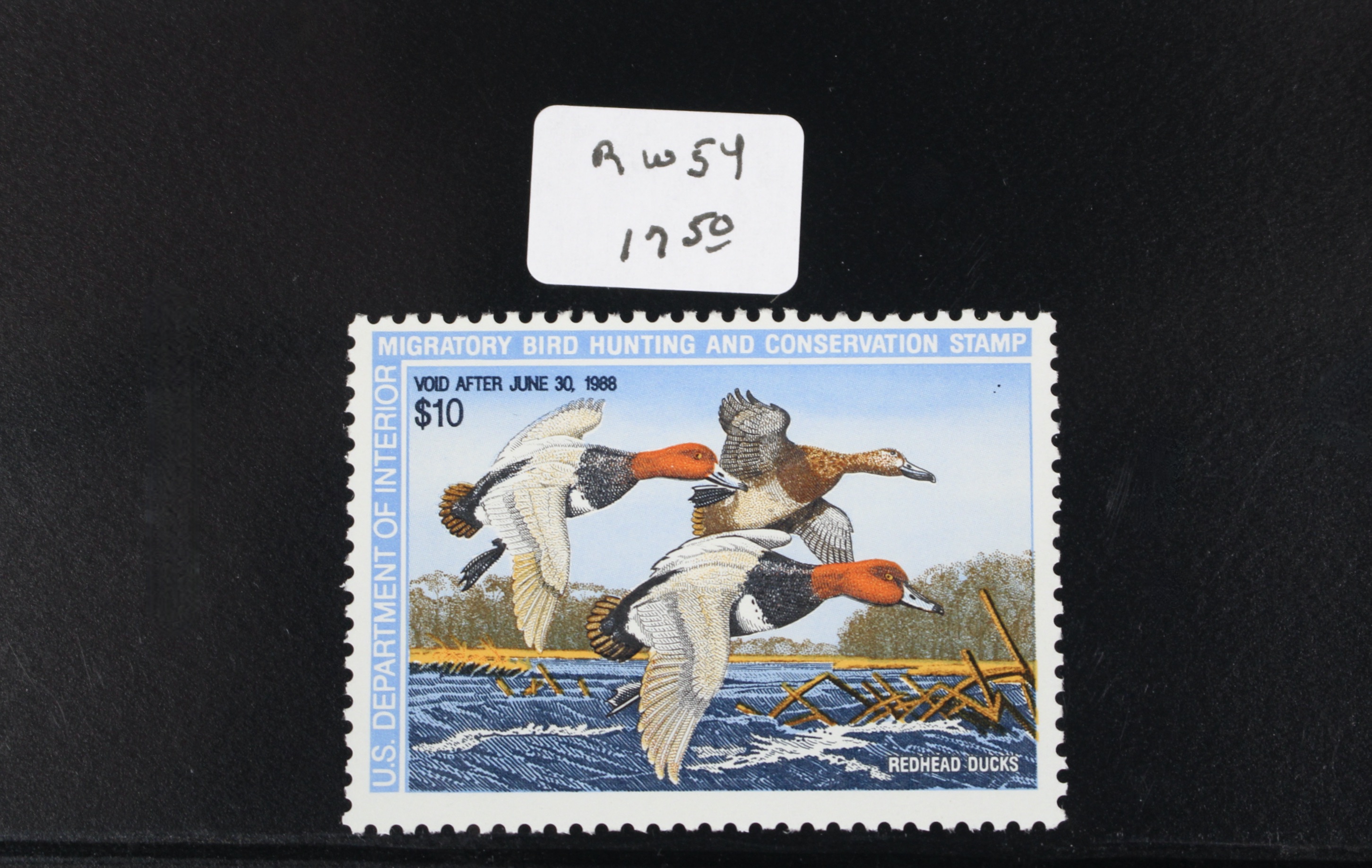 U.S. Duck Stamp Collection