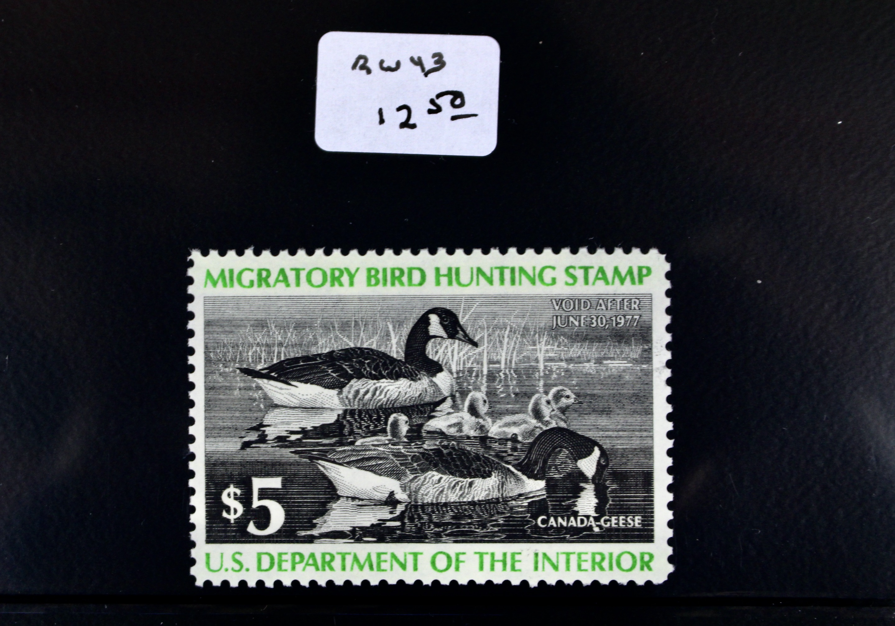 U.S. Duck Stamp Collection