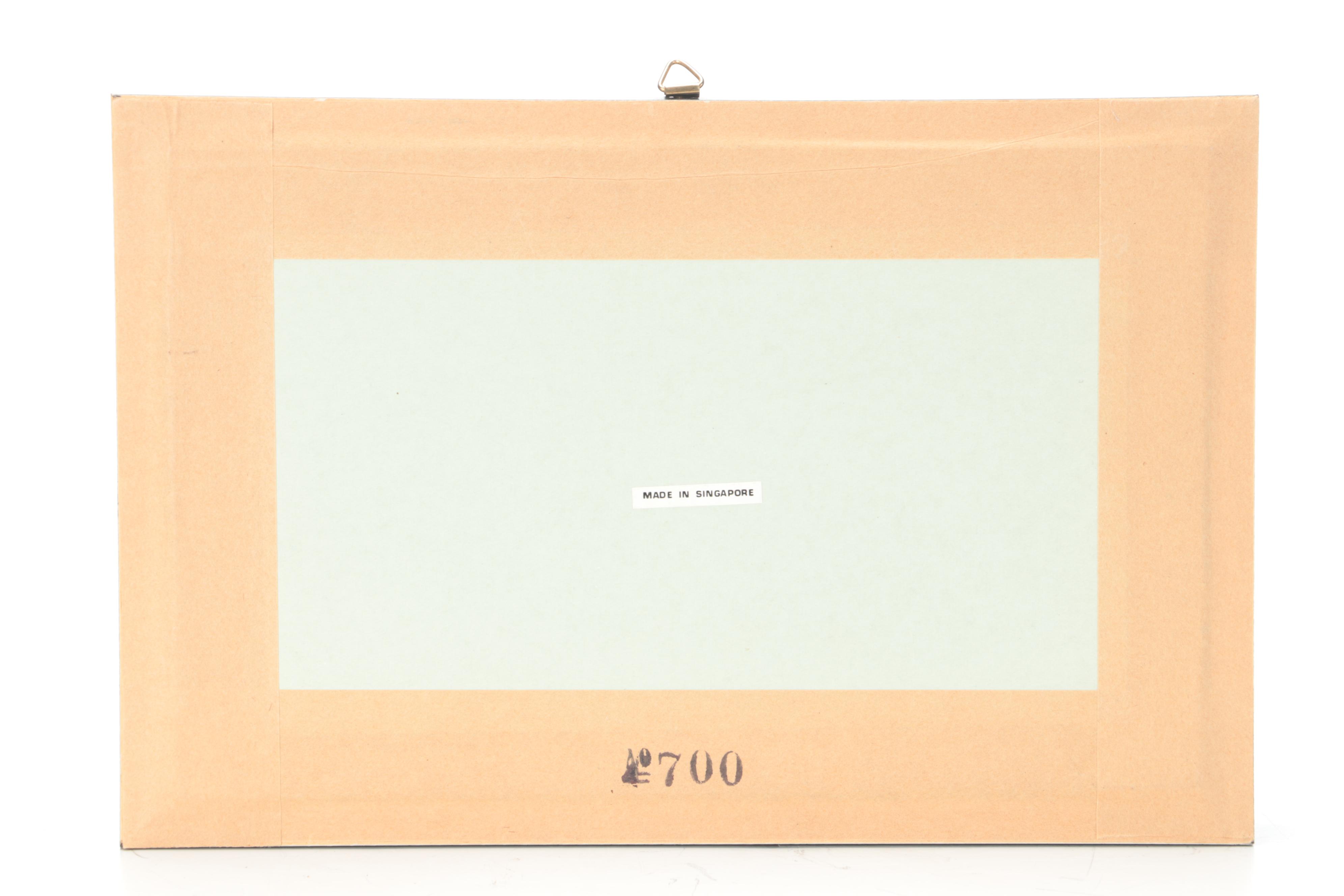 Taxidermy Giant Empress Cicada in Case