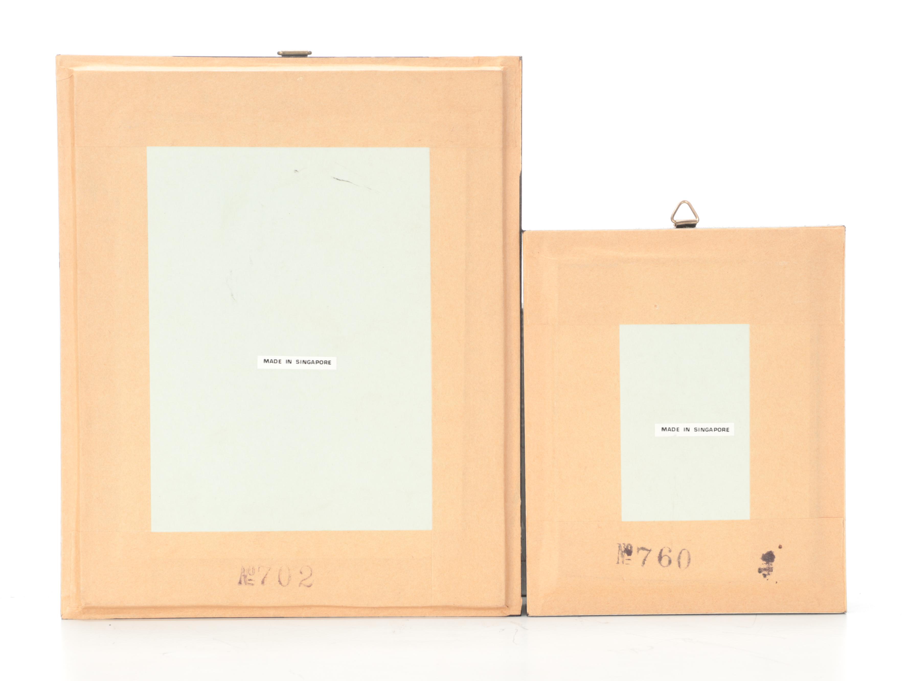 Taxidermy Three-Horned Scarab Beetle and Rhino Scarab in Case