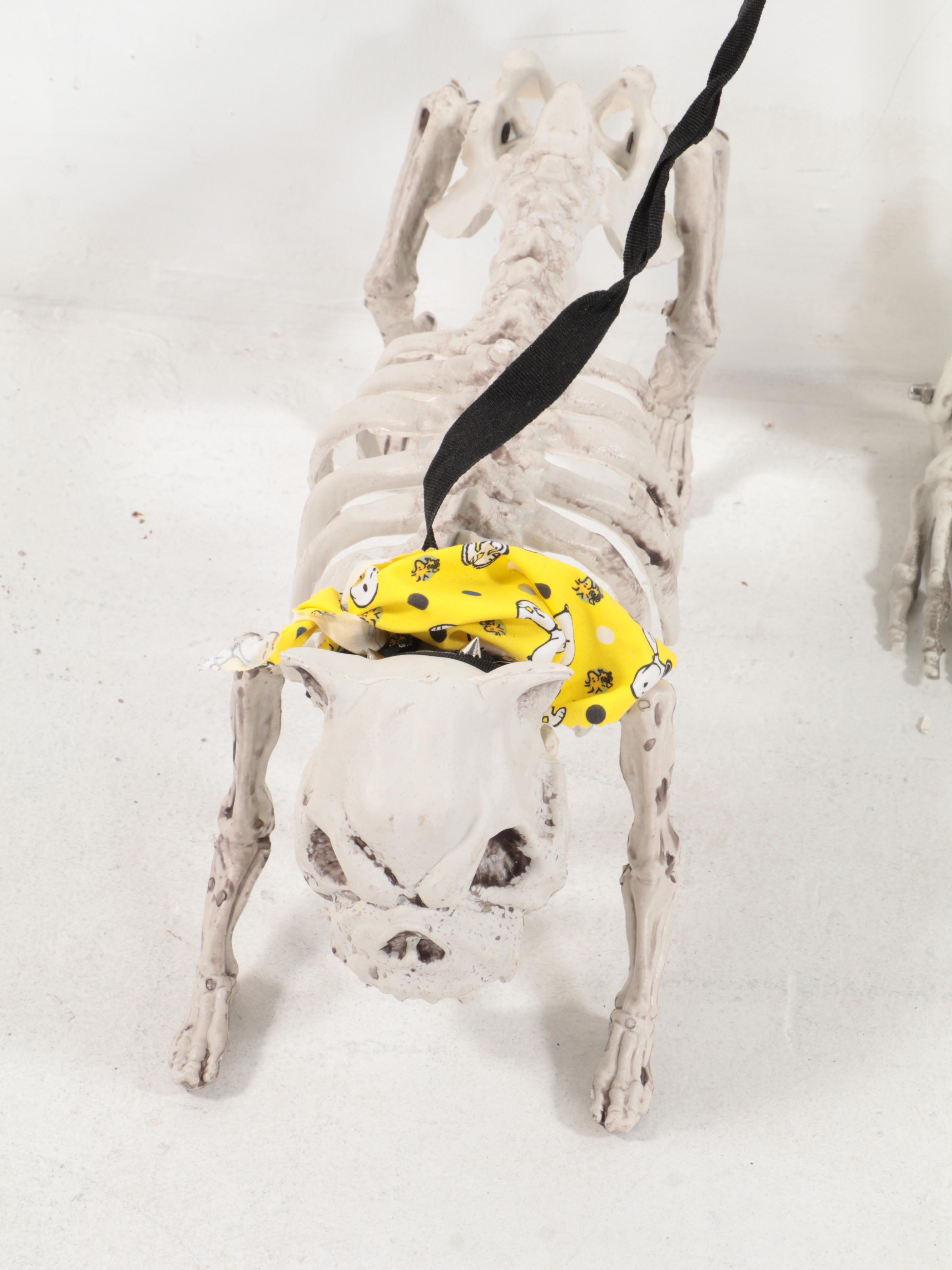 Halloween Plastic Skeleton Walking Dog Skeleton