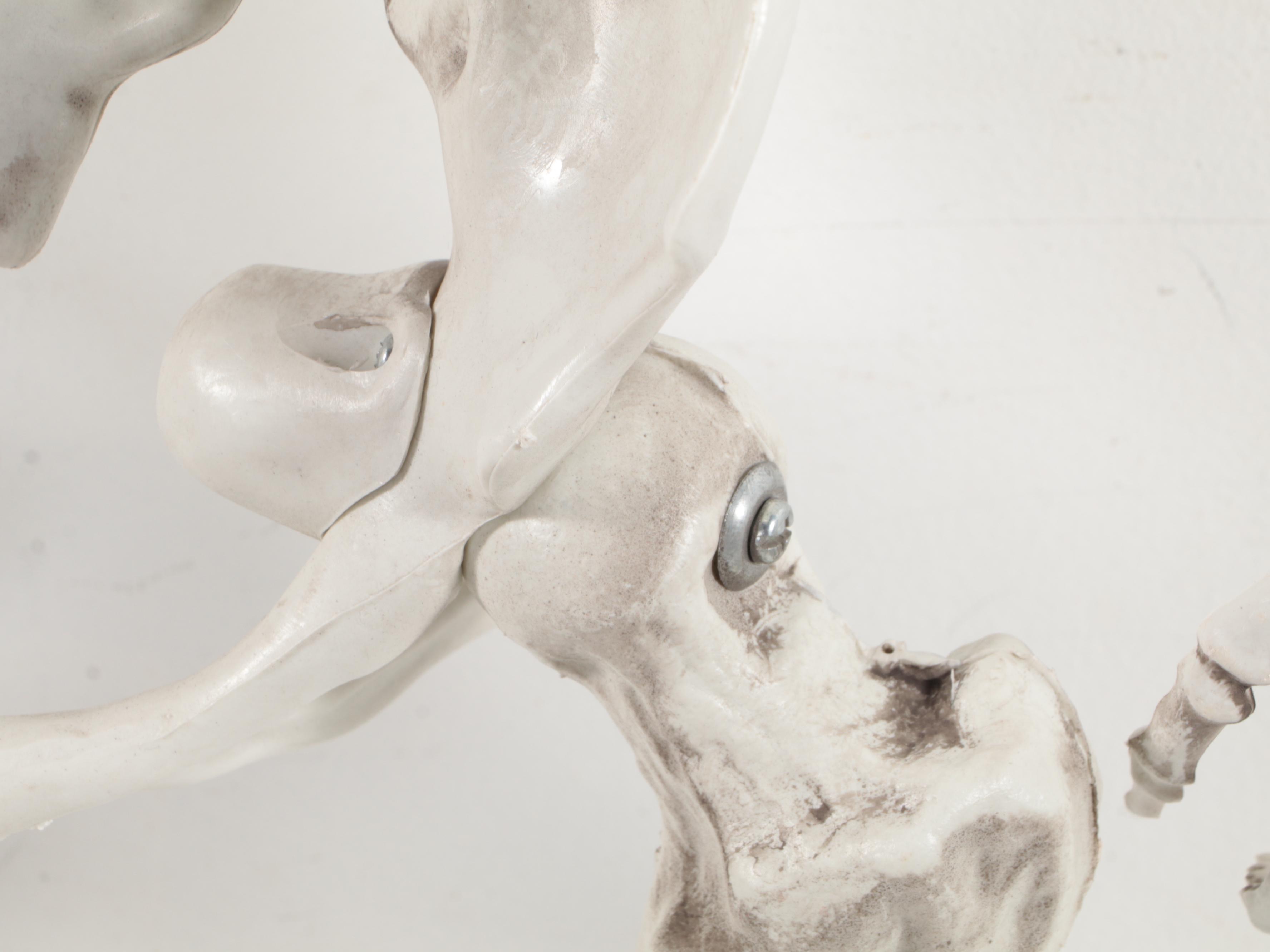 Halloween Plastic Skeleton Walking Dog Skeleton