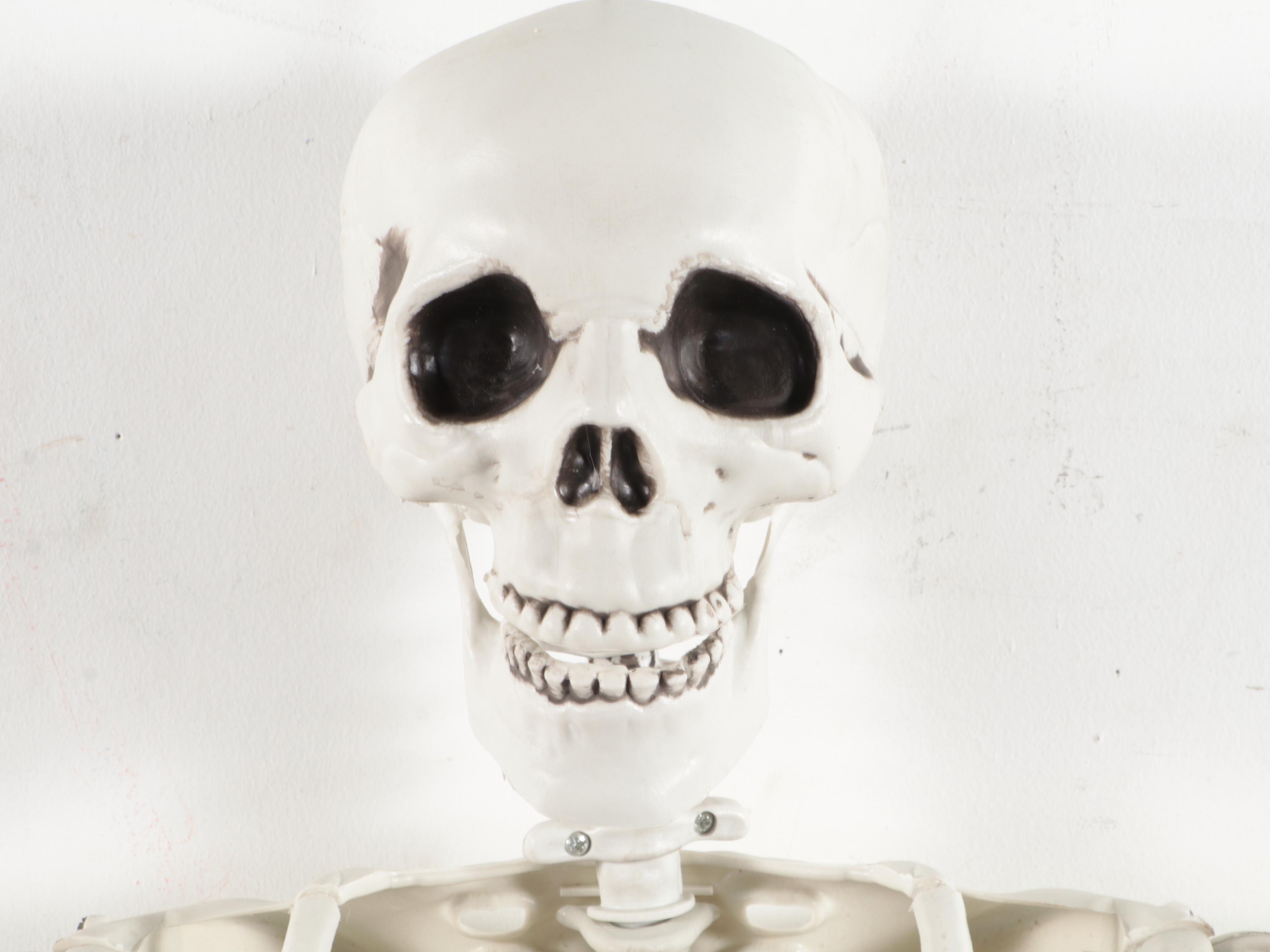 Halloween Plastic Skeleton Walking Dog Skeleton