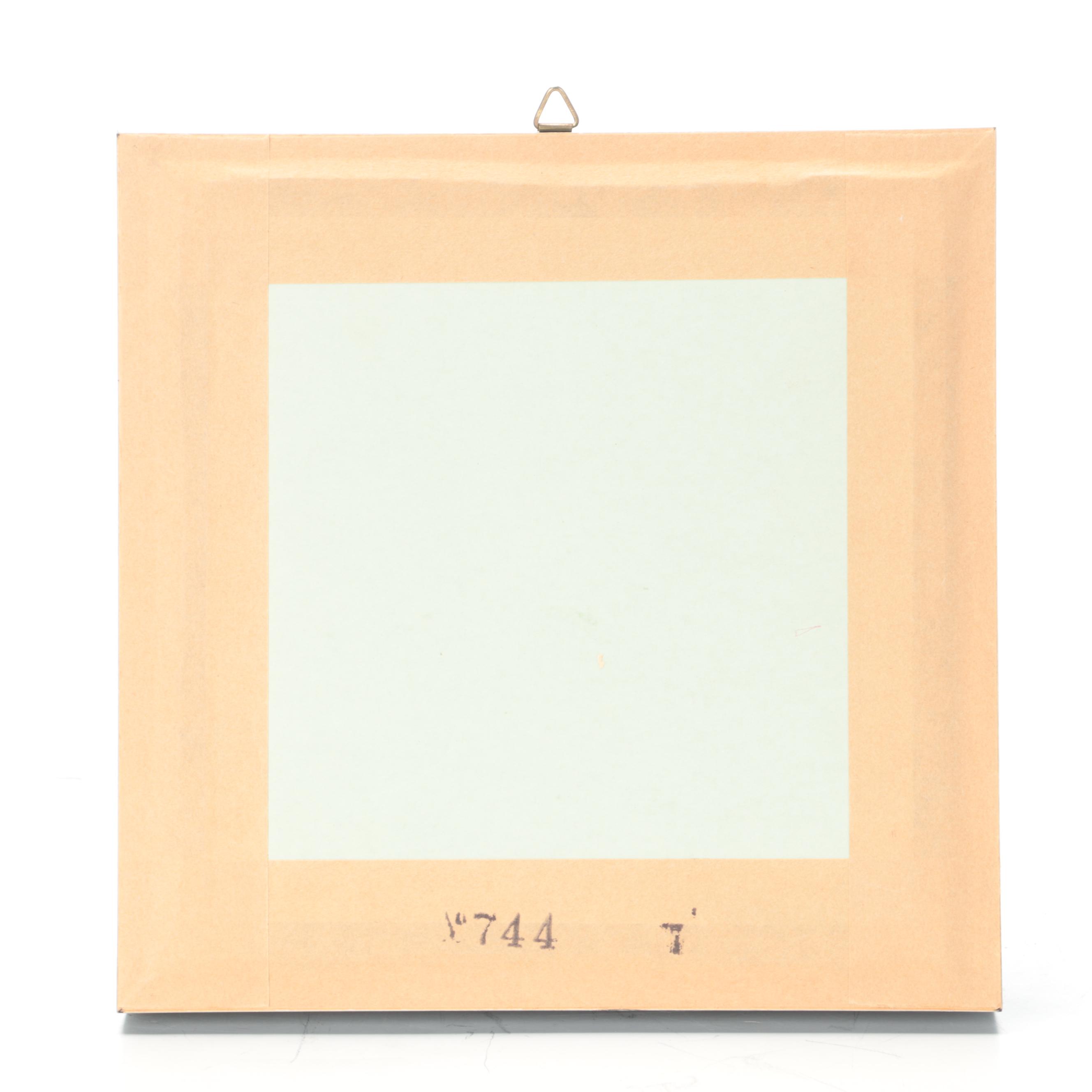 Taxidermy Malaysian Tarantula Specimen in Case