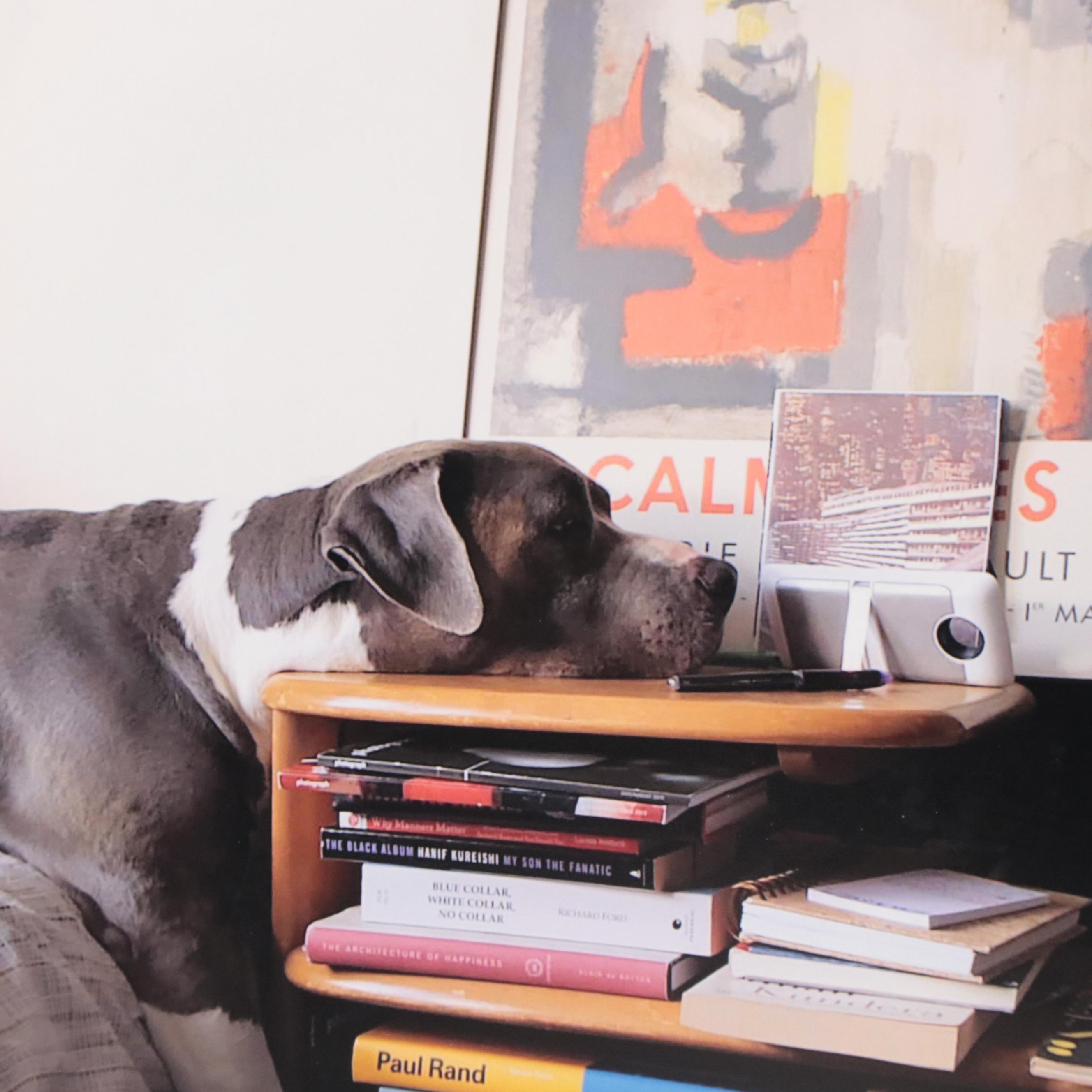 Jeff Brinkman Digital Photograph "Creative Sleeper," 2020