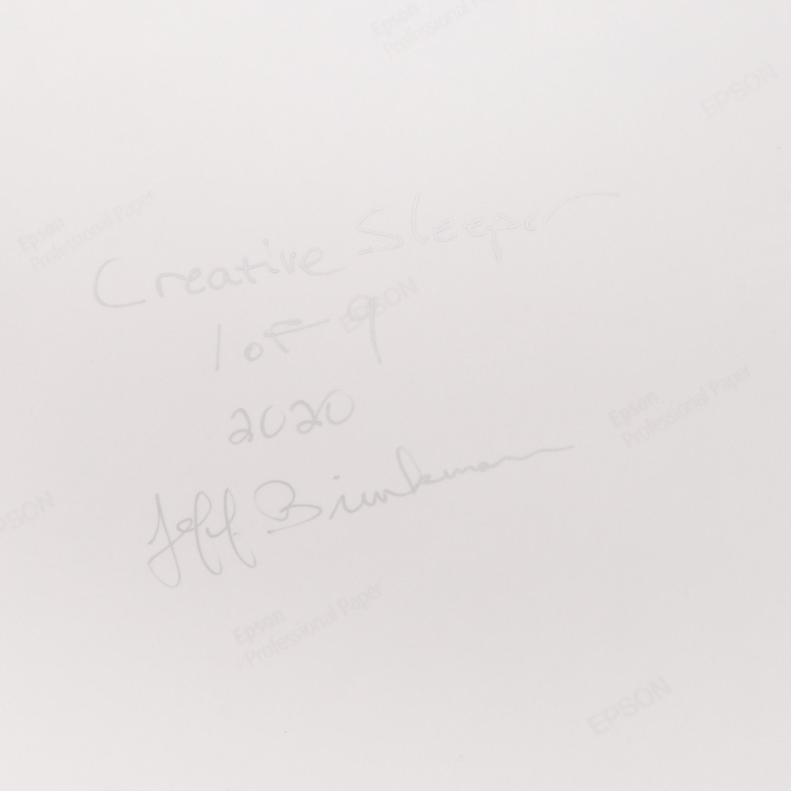 Jeff Brinkman Digital Photograph "Creative Sleeper," 2020