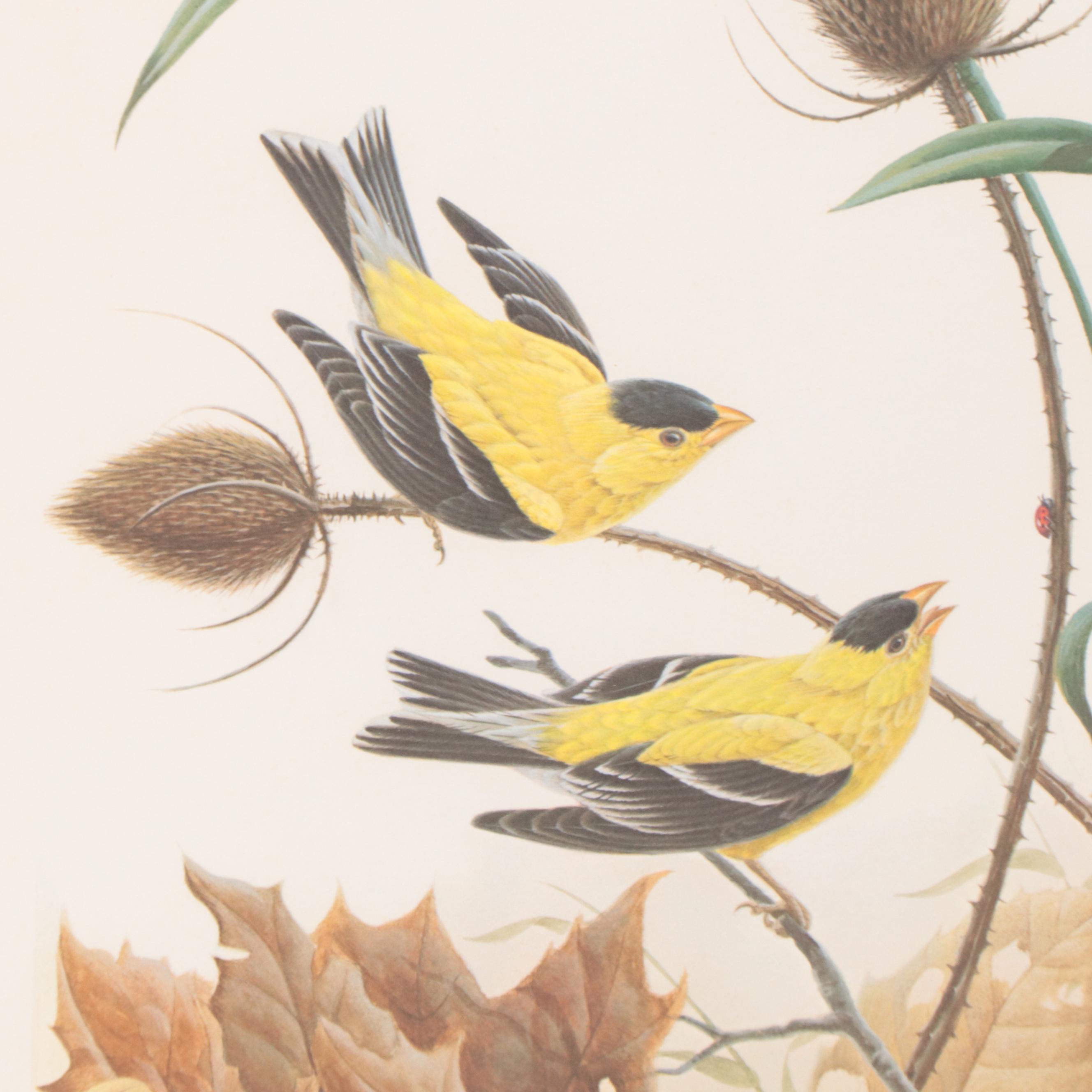 John Ruthven Offset Lithograph "Goldfinch"