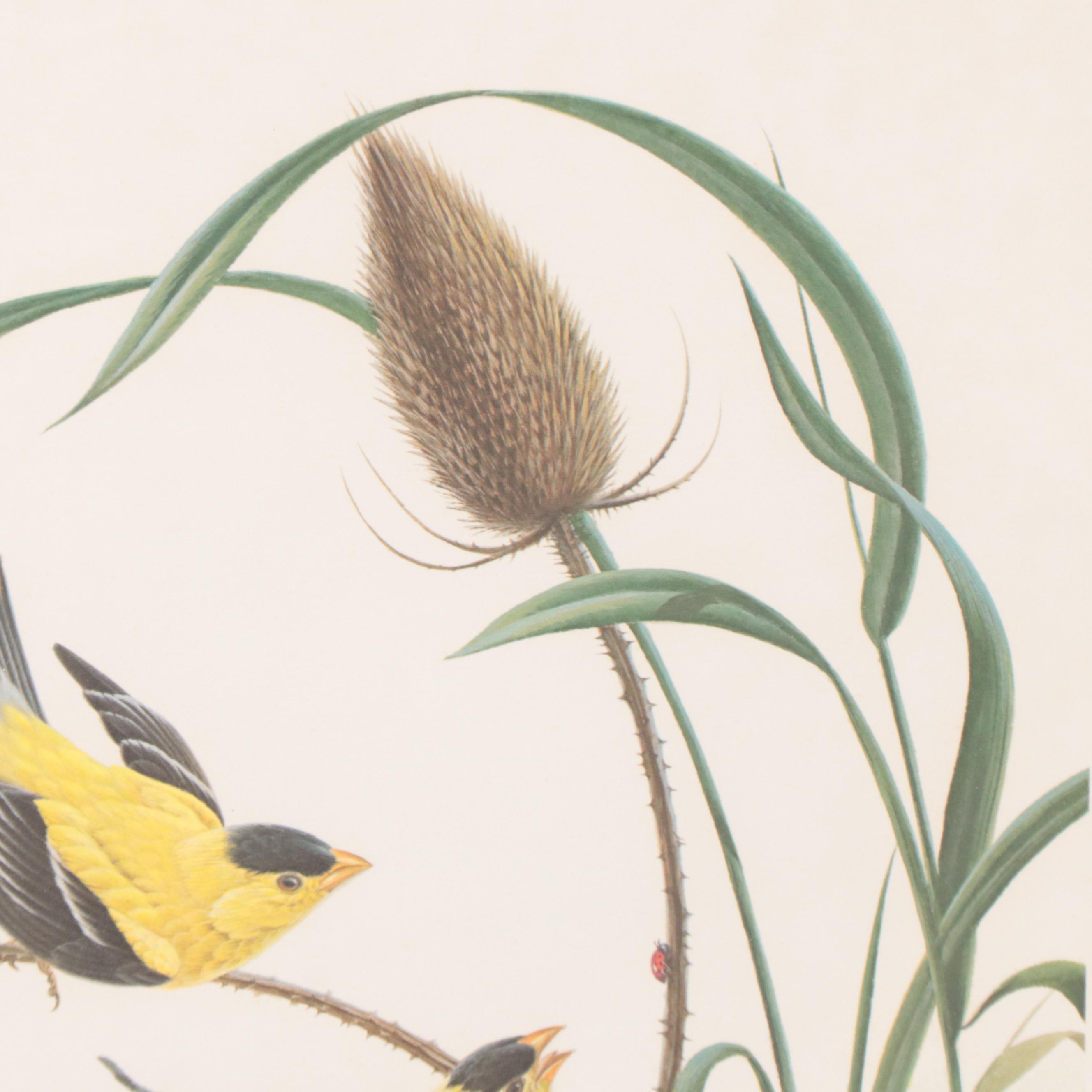 John Ruthven Offset Lithograph "Goldfinch"