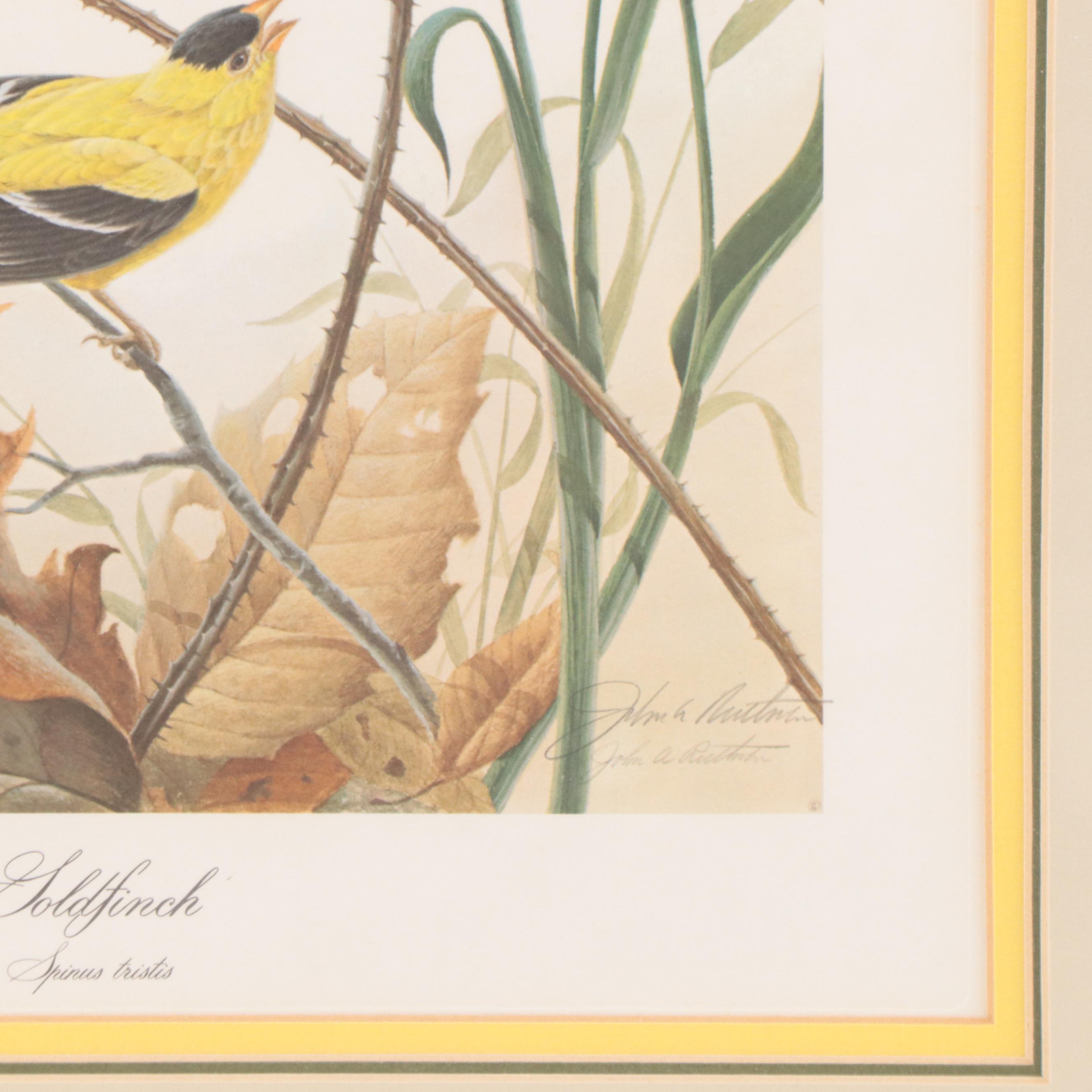 John Ruthven Offset Lithograph "Goldfinch"